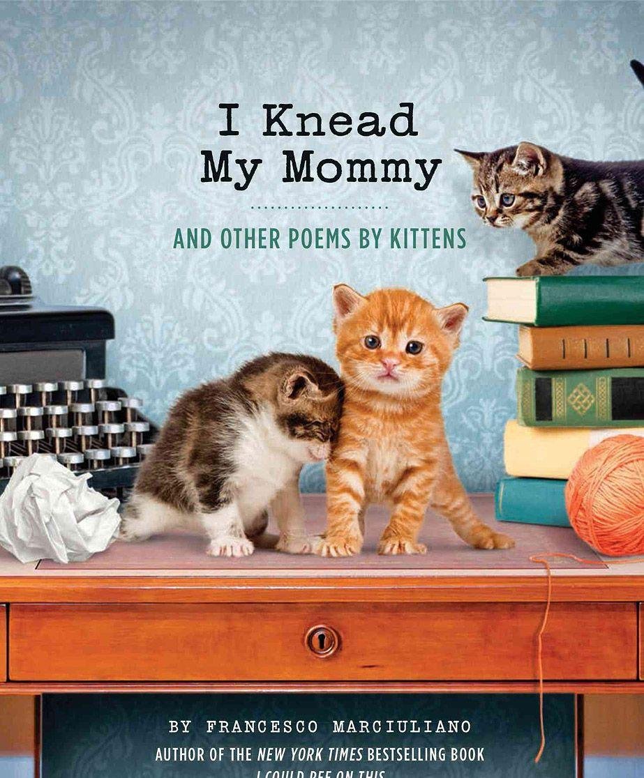 I Knead My Mommy: And Other Poems by Kittens (Funny Book About Cats, Cat Poems, Animal Book)