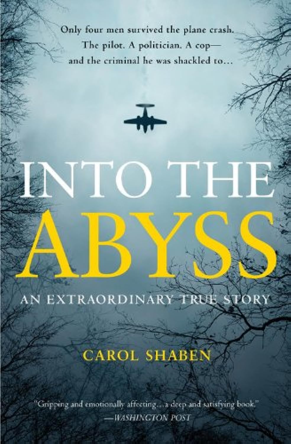 Into the Abyss: An Extraordinary True Story by Shaben, Carol (2014) Paperback - 257