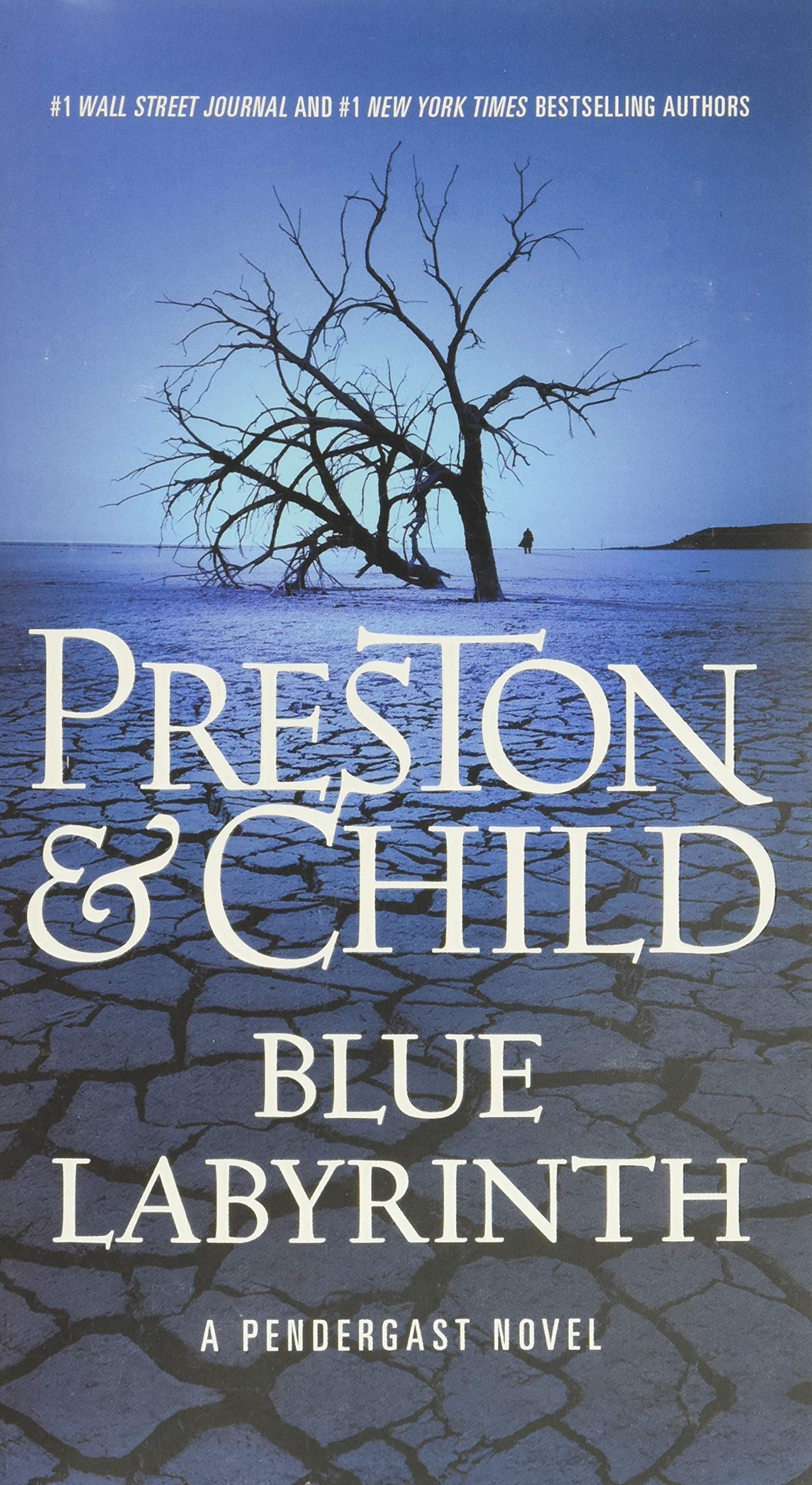 BLUE LABYRINTH (AGENT PENDERGAST - 1216
