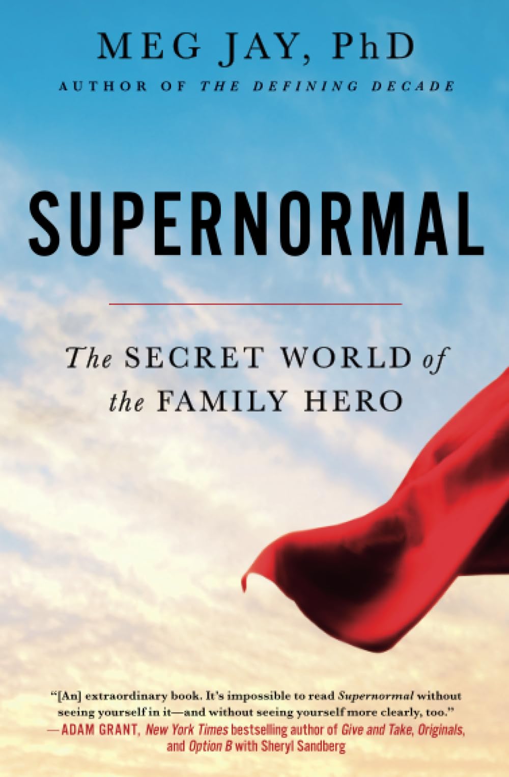 Supernormal: The Secret World of the Family Hero - 312