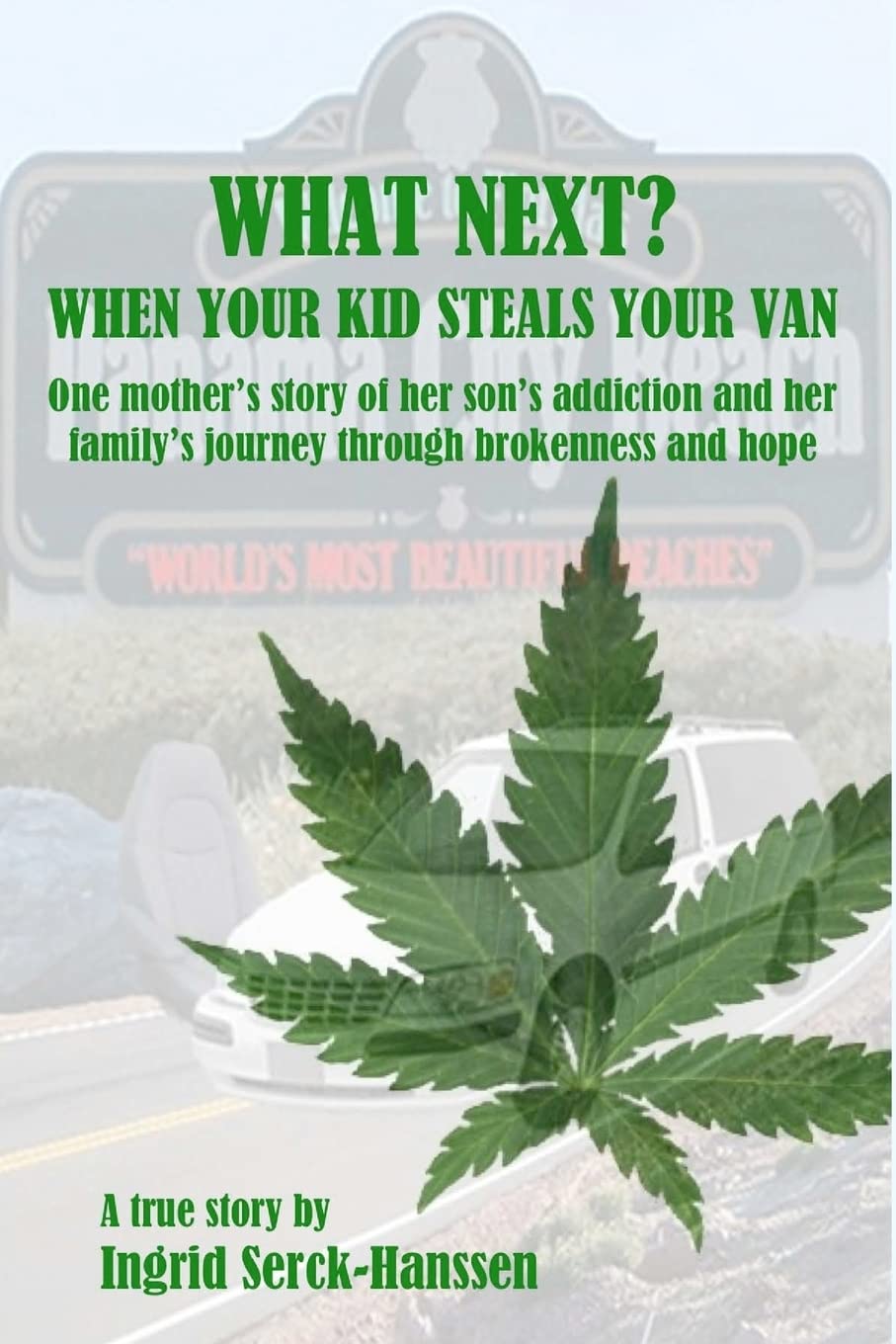 What Next? When Your Kid Steals Your Van: One mother's story of her son's addiction and her family's journey through brokenness and hope (Volume 1)