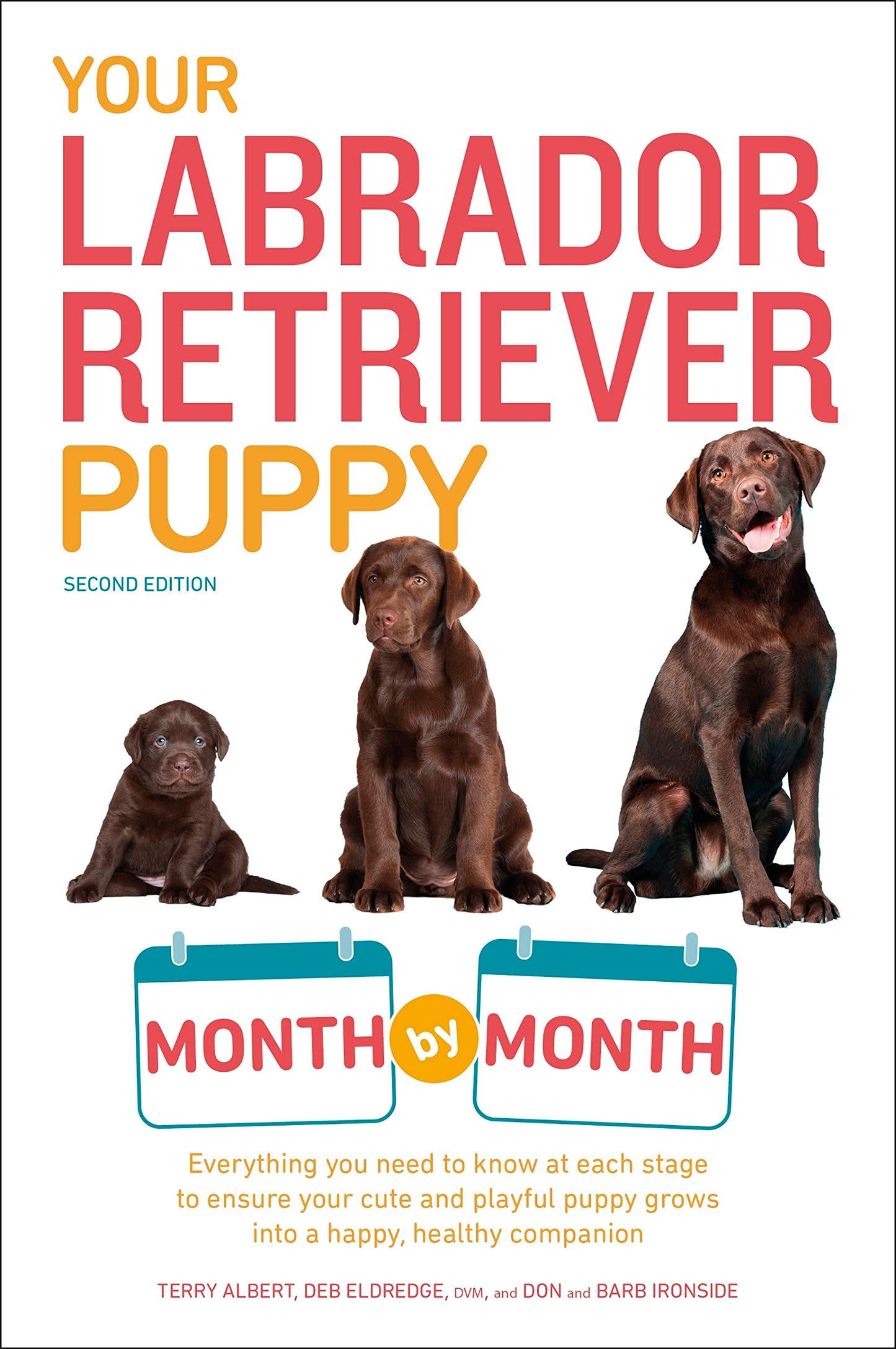 YOUR LABRADOR RETRIEVER PUPPY MO