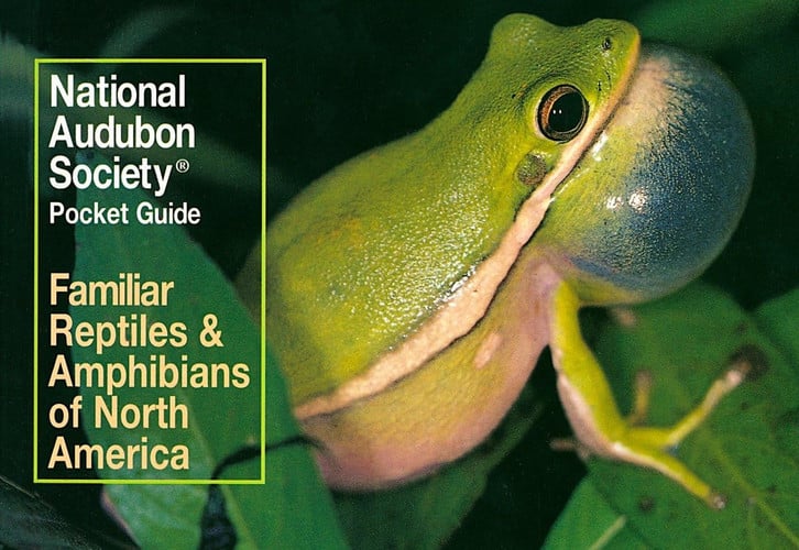 Familiar reptiles and amphibians