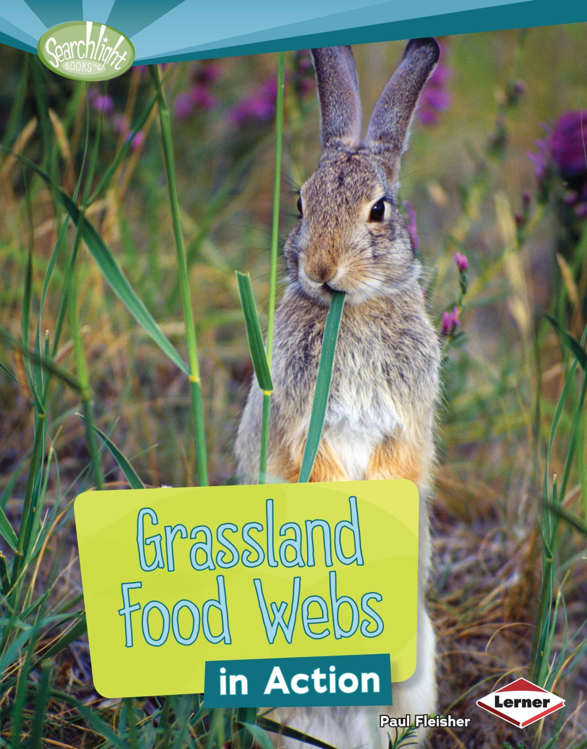 Grassland Food Webs in Action (Searchlight Books ™ ― What Is a Food Web?)