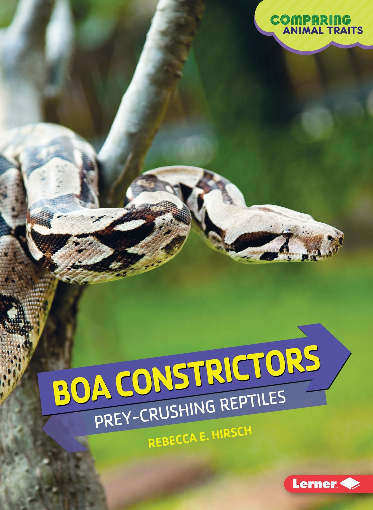 Boa Constrictors: Prey-Crushing Reptiles (Comparing Animal Traits)