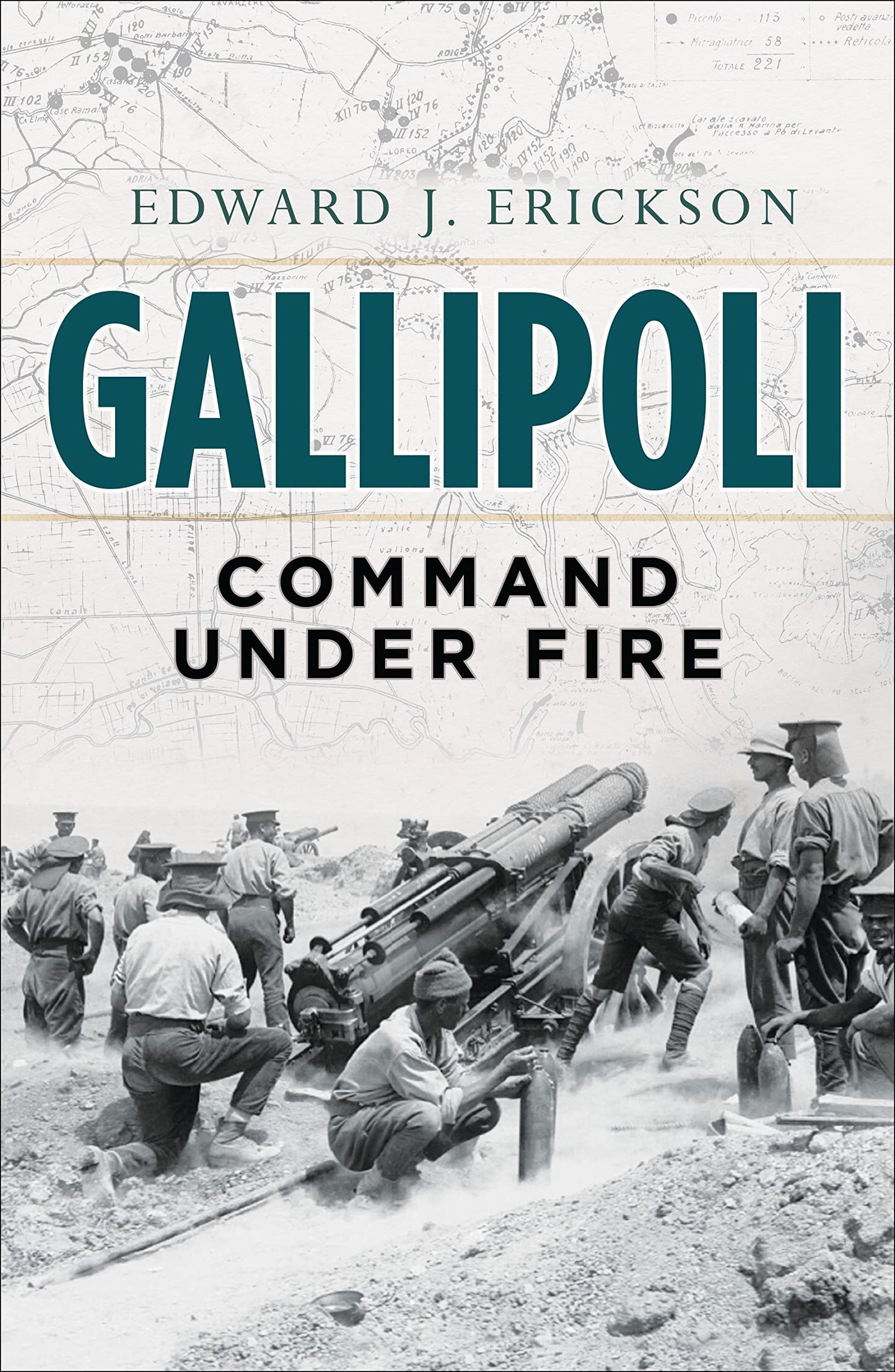 Gallipoli: Command Under Fire (General Military) - 3494