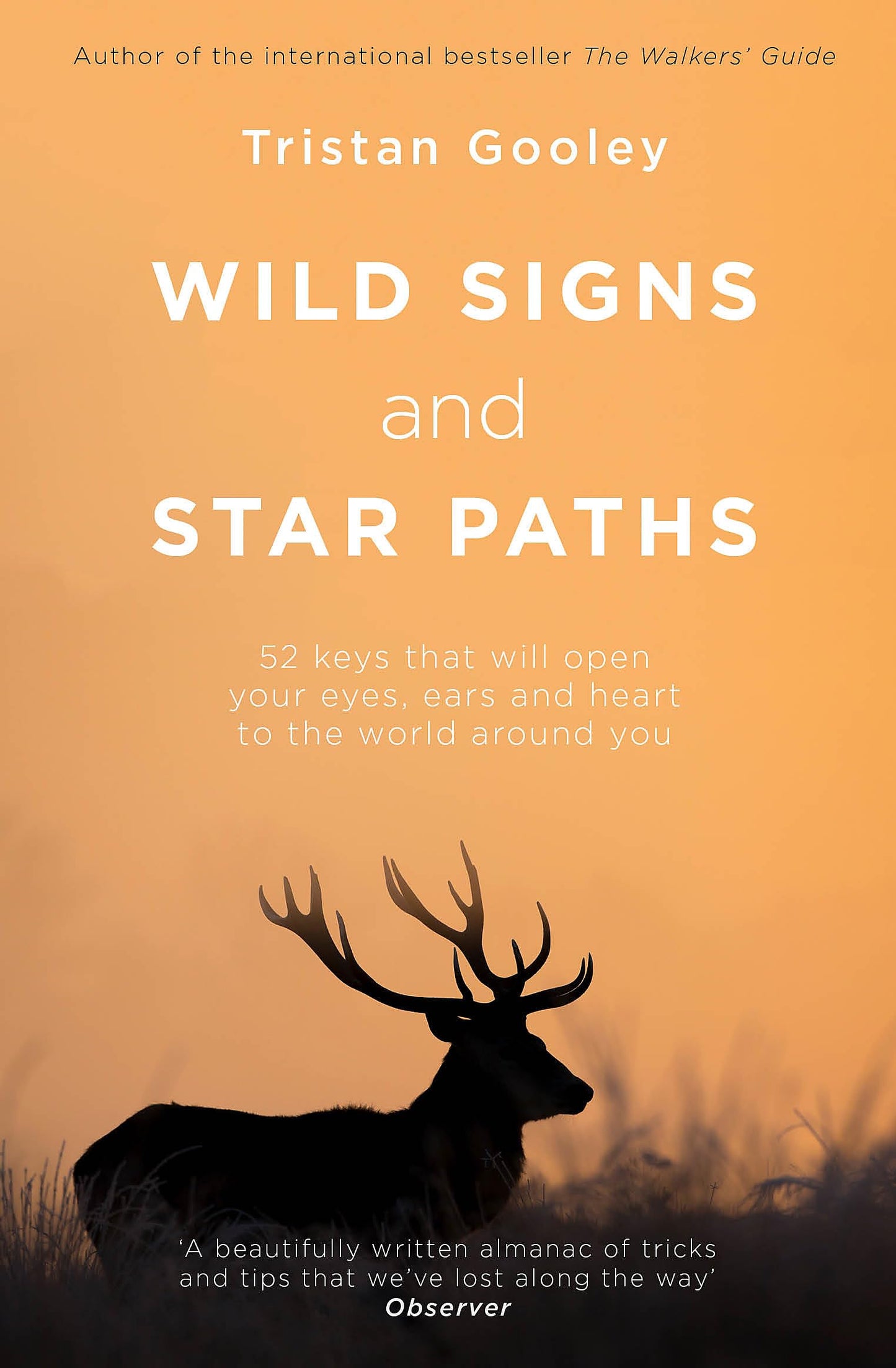 Wild Signs & Star Paths