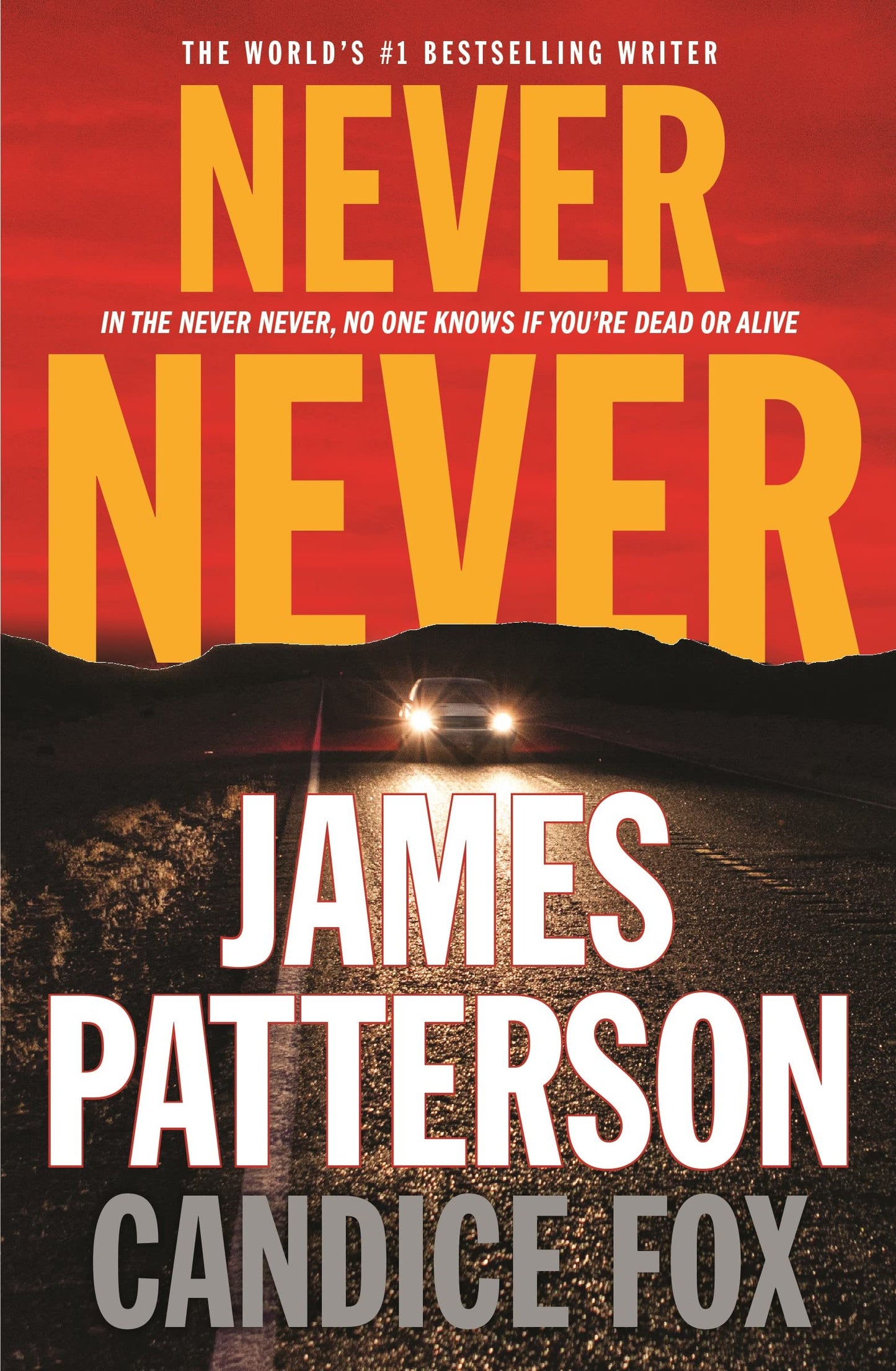 Never Never (Harriet Blue, 1)