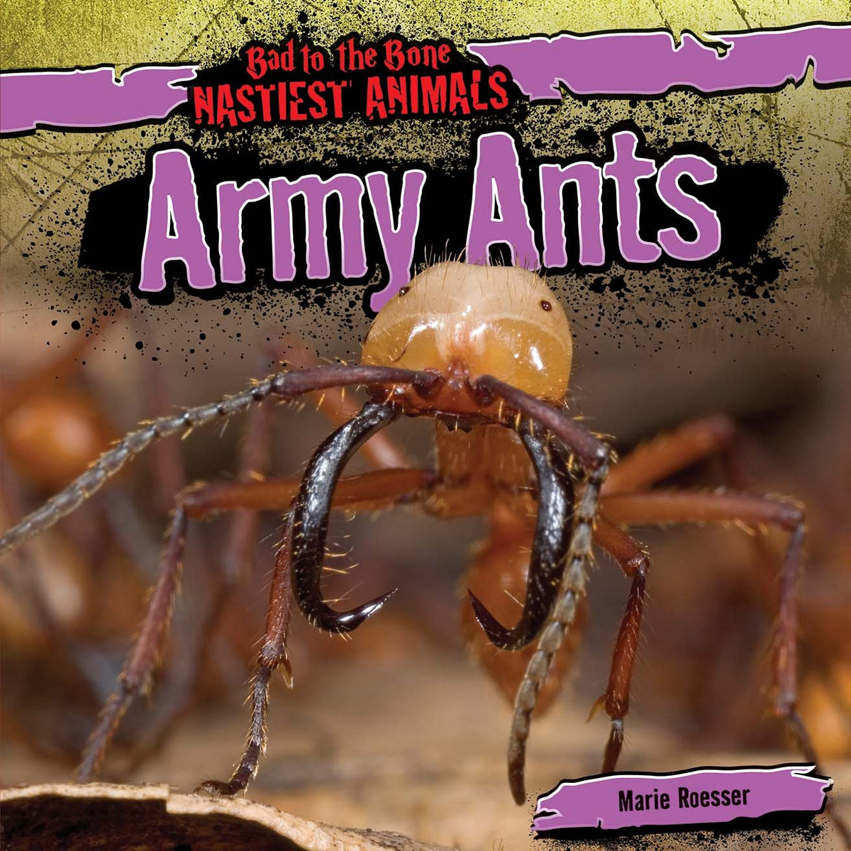 Army Ants (Bad to the Bone: Nastiest Animals)