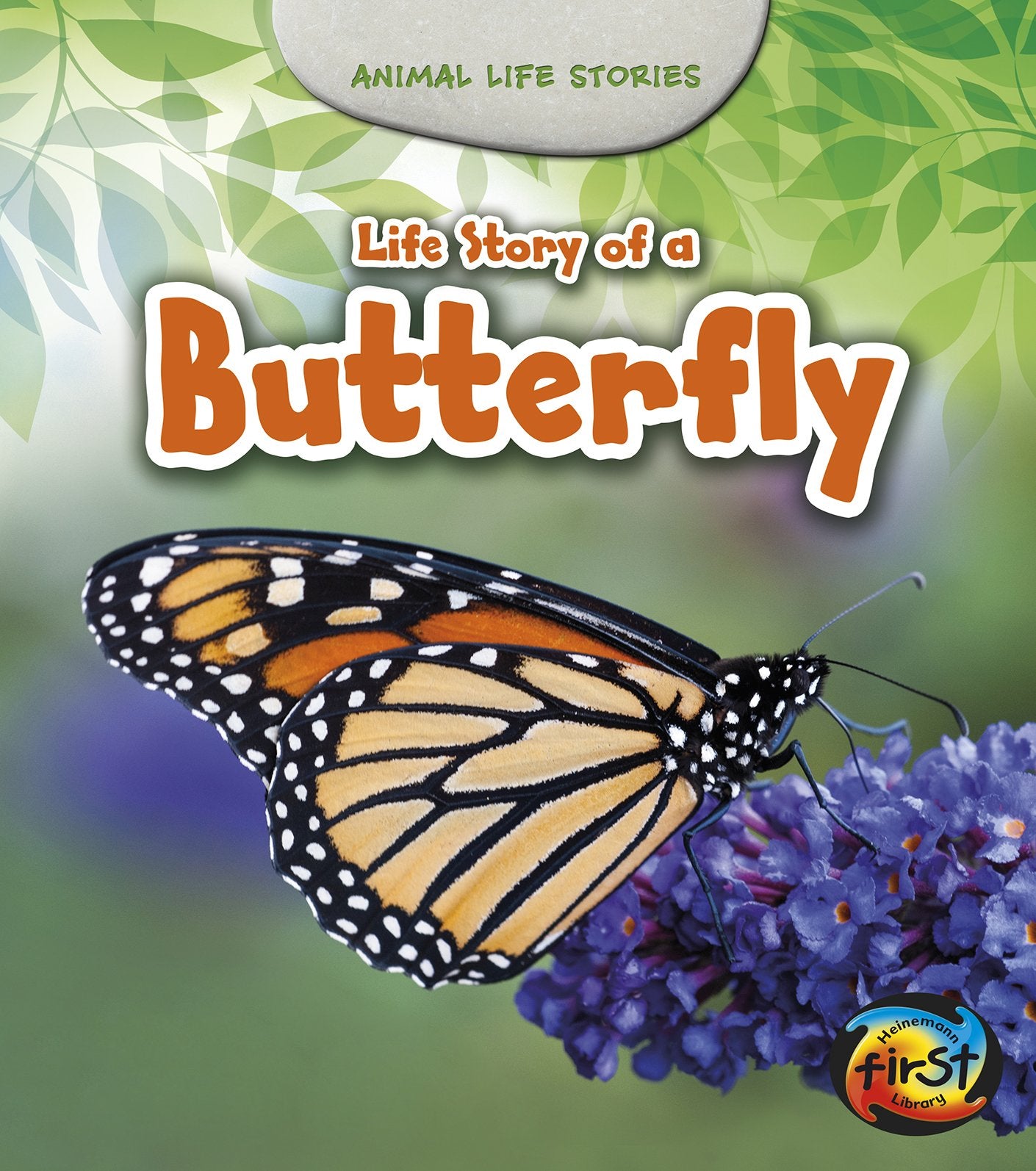 Life Story of a Butterfly (Heinemann First Library: Animal Life Stories)