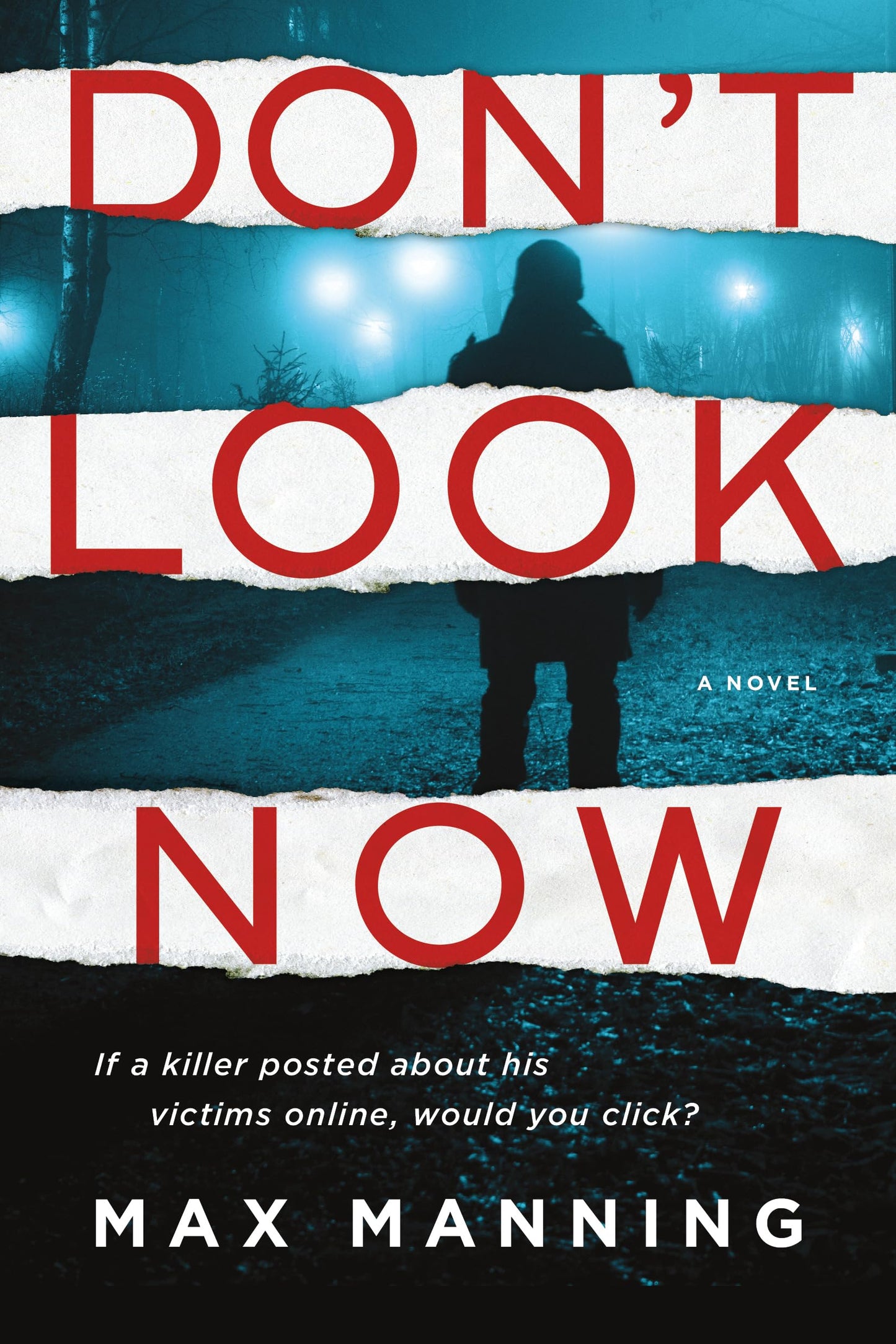 Don't Look Now: A Novel