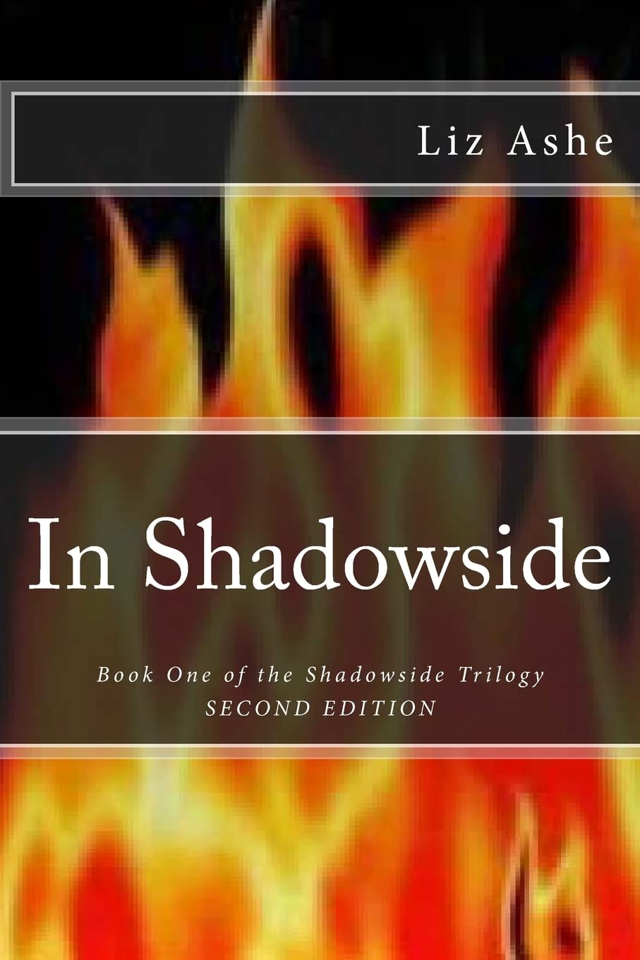 In Shadowside (Shadowside Stories)