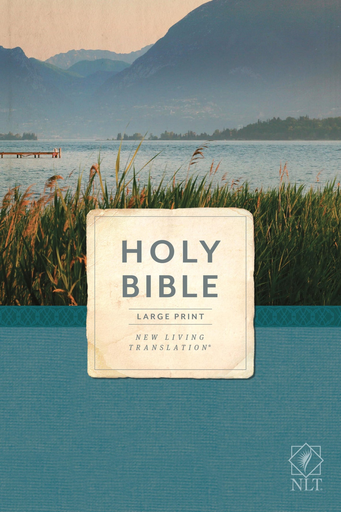 NLT Economy Outreach Bible, Large Print (Economy Outreach: Large Print, NLT) - 7877