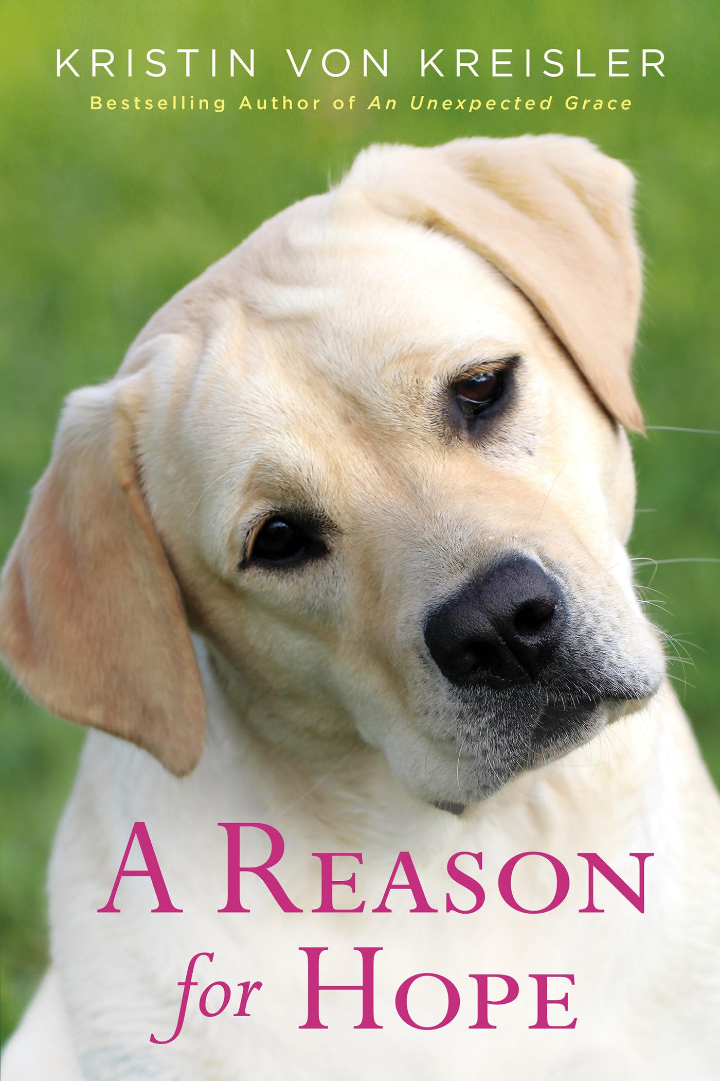 A Reason for Hope - 5199