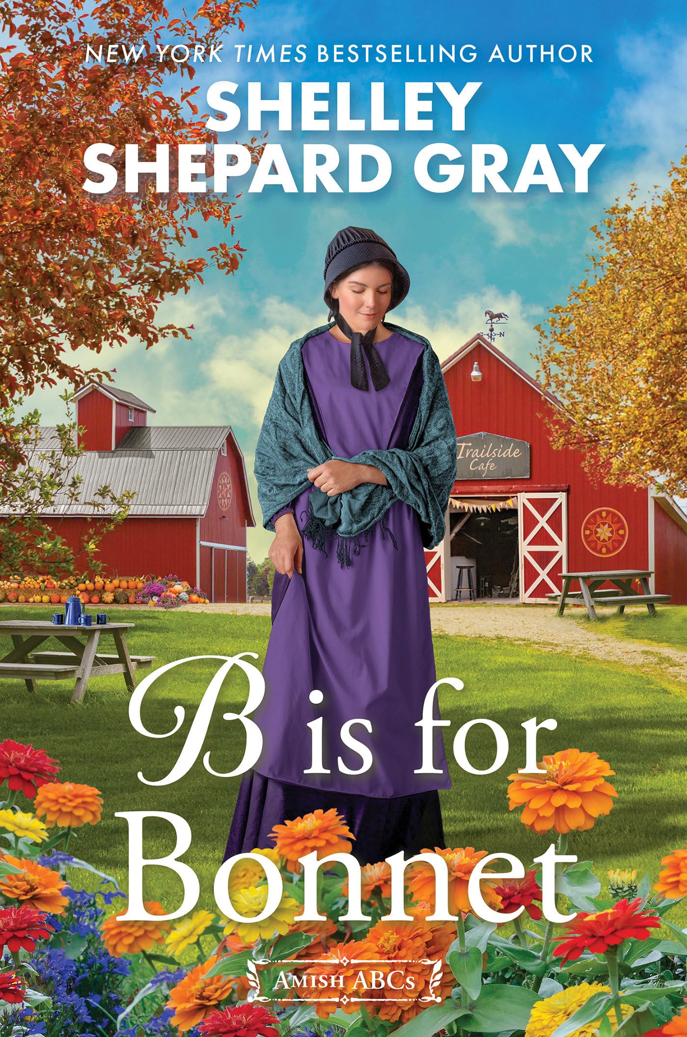 B Is for Bonnet (Amish ABCs)