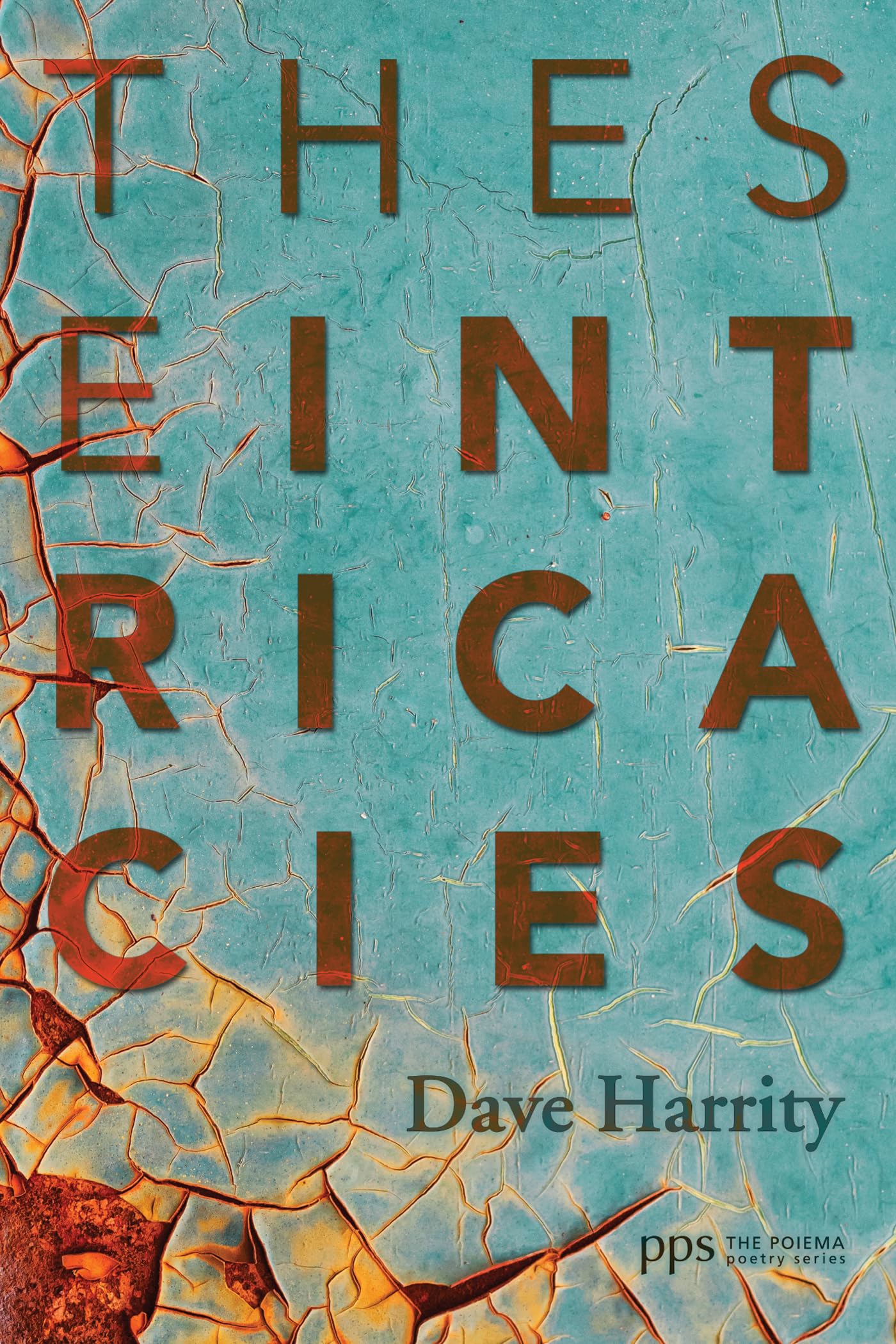 These Intricacies (Poiema Poetry)