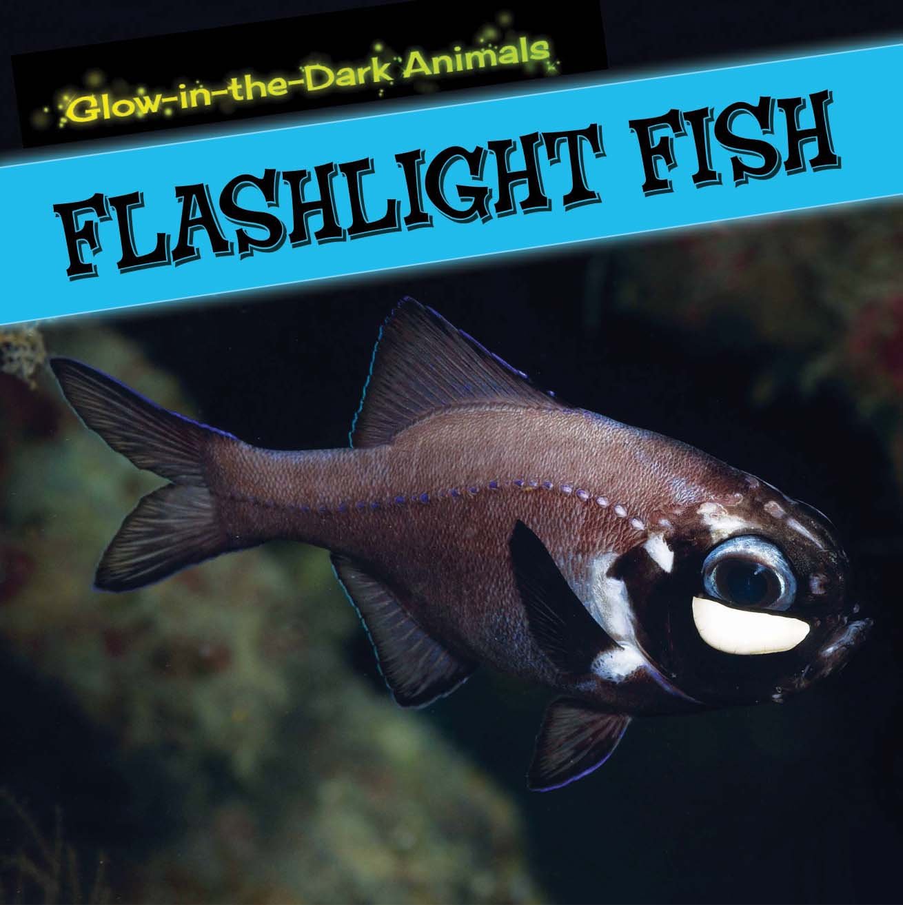 Flashlight Fish (Glow-in-the-Dark Animals, 6)