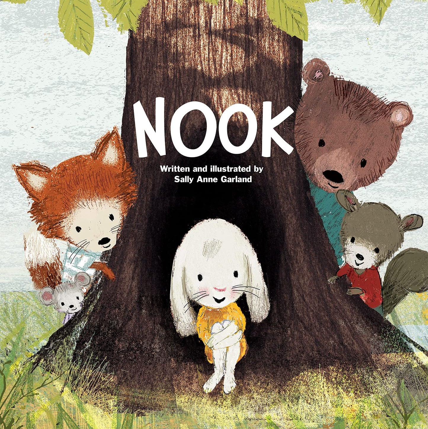 Nook - A Book About Kindness, Inclusion, Confidence, Trust, and Friendship