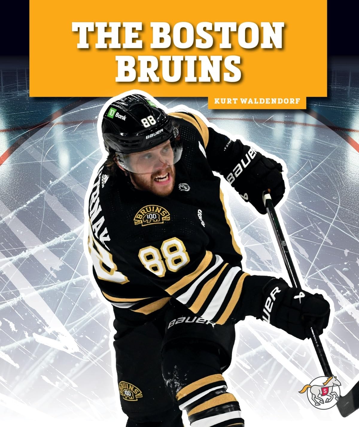 The Boston Bruins (Professional Hockey Teams)