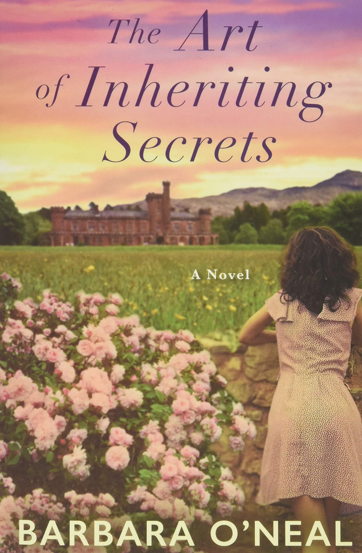 The Art of Inheriting Secrets: A Novel