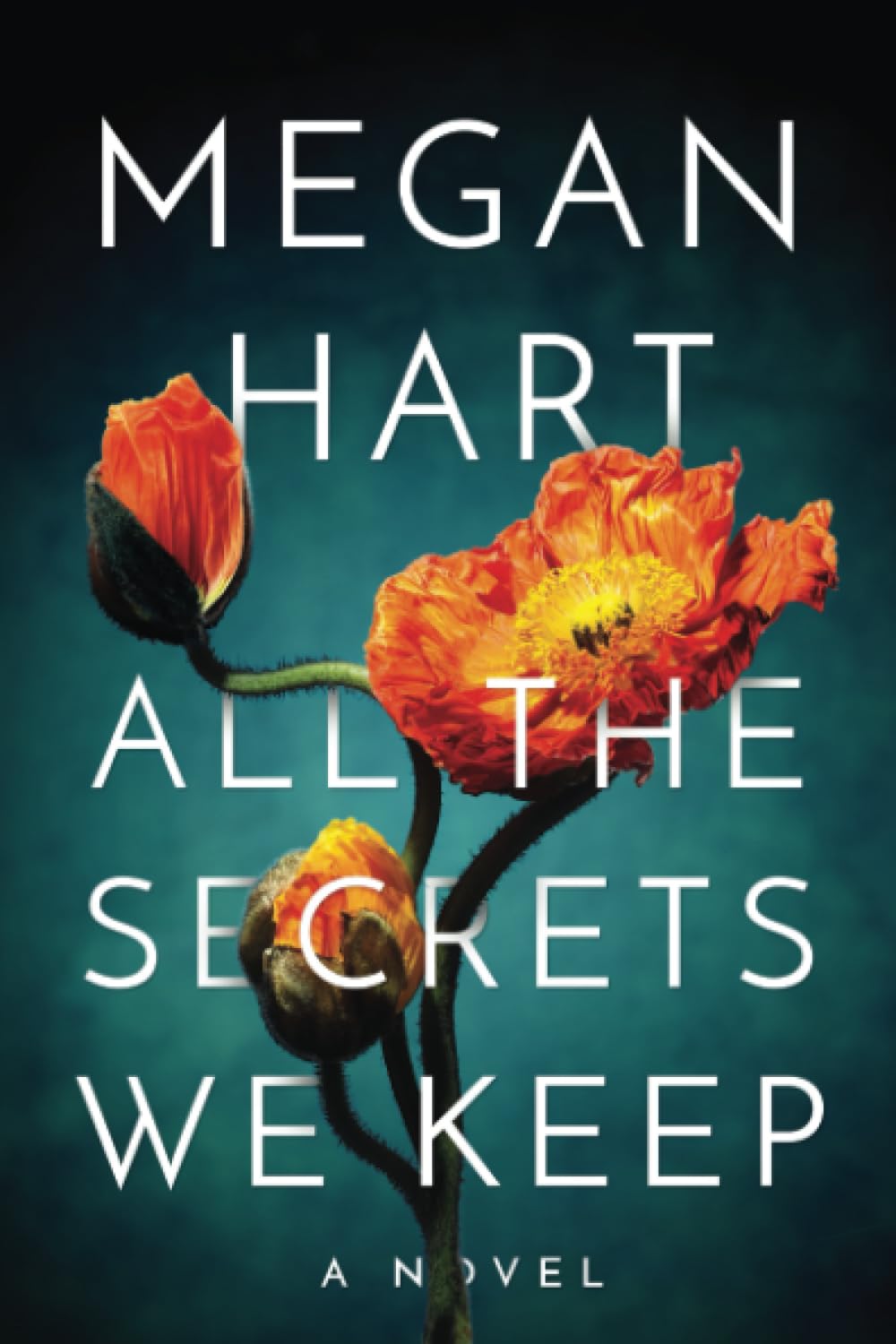 All the Secrets We Keep