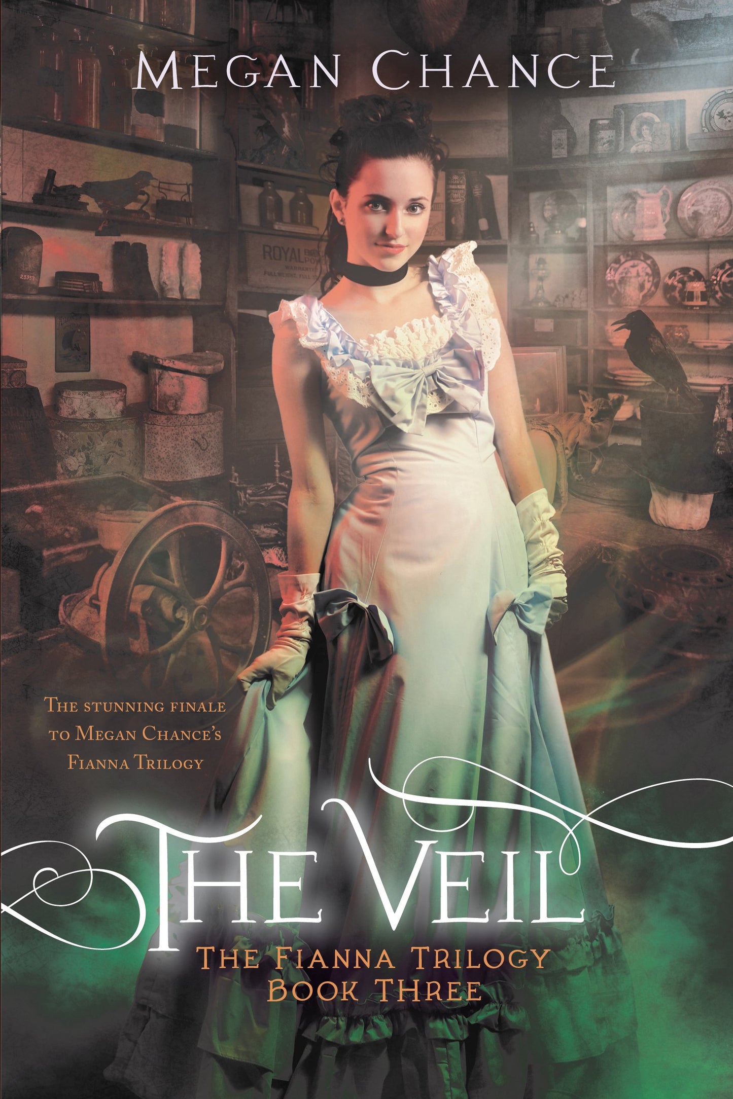 The Veil (Fianna Trilogy) - 6588