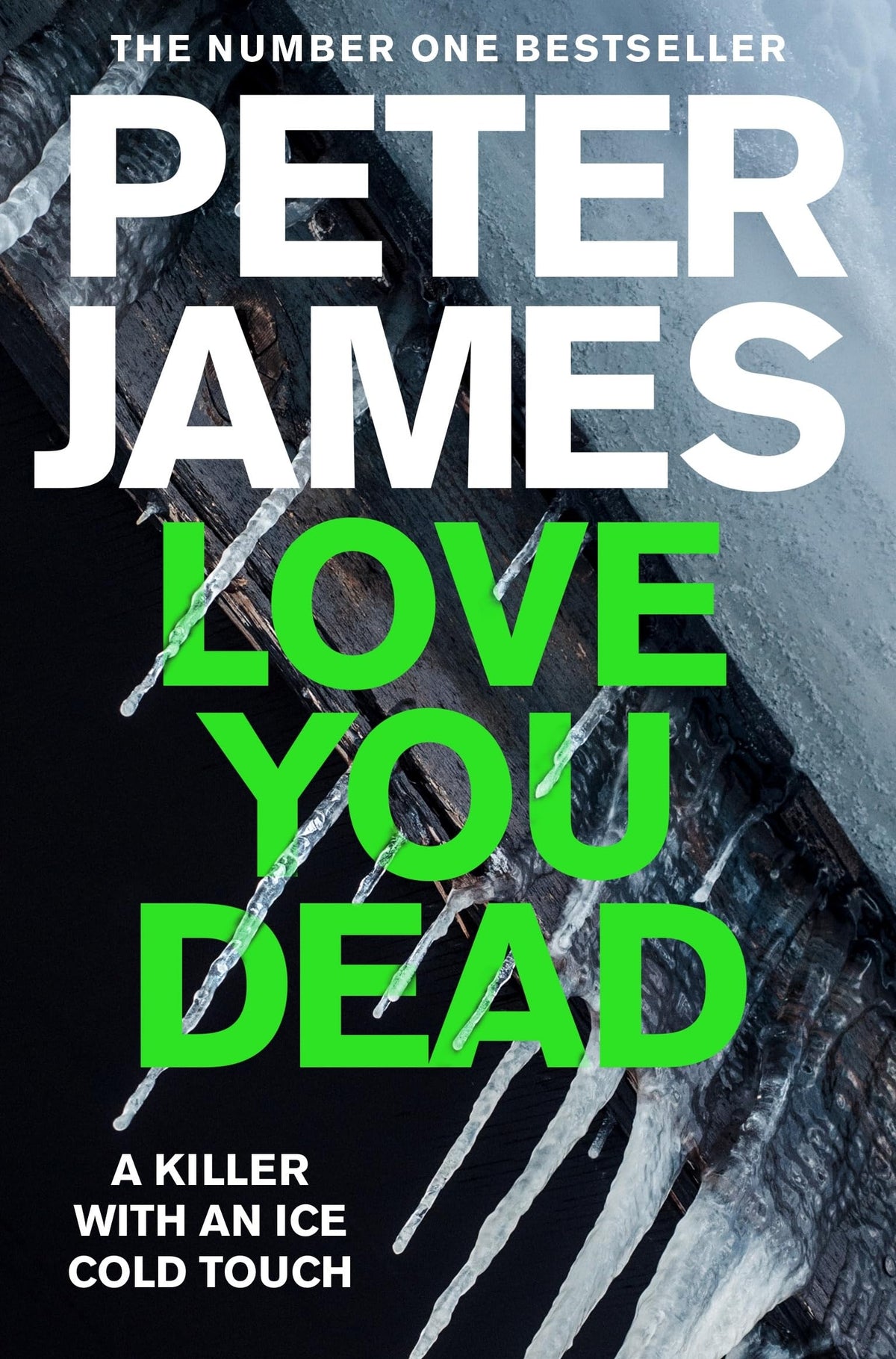 Love You Dead (Detective Superintendent Roy Grace, 12)