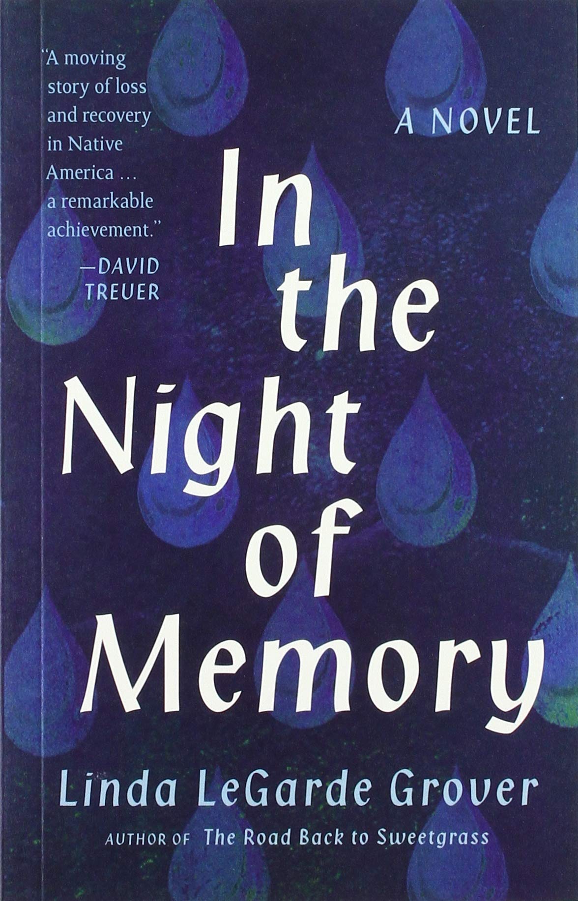 In the Night of Memory: A Novel
