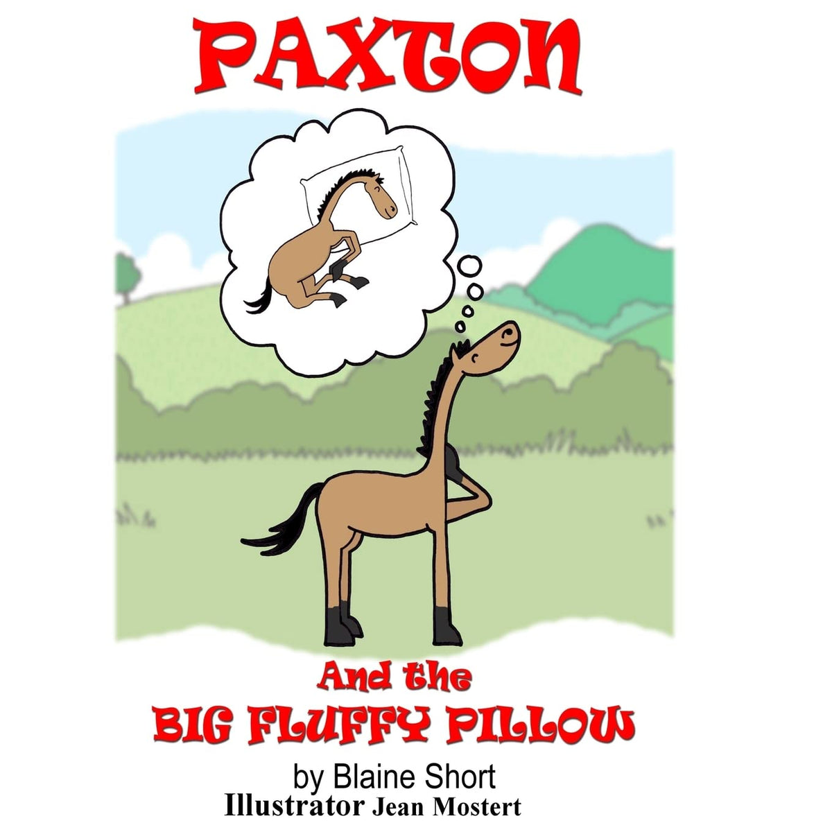 Paxton and The Big Fluffy Pillow (Paxton Pony)