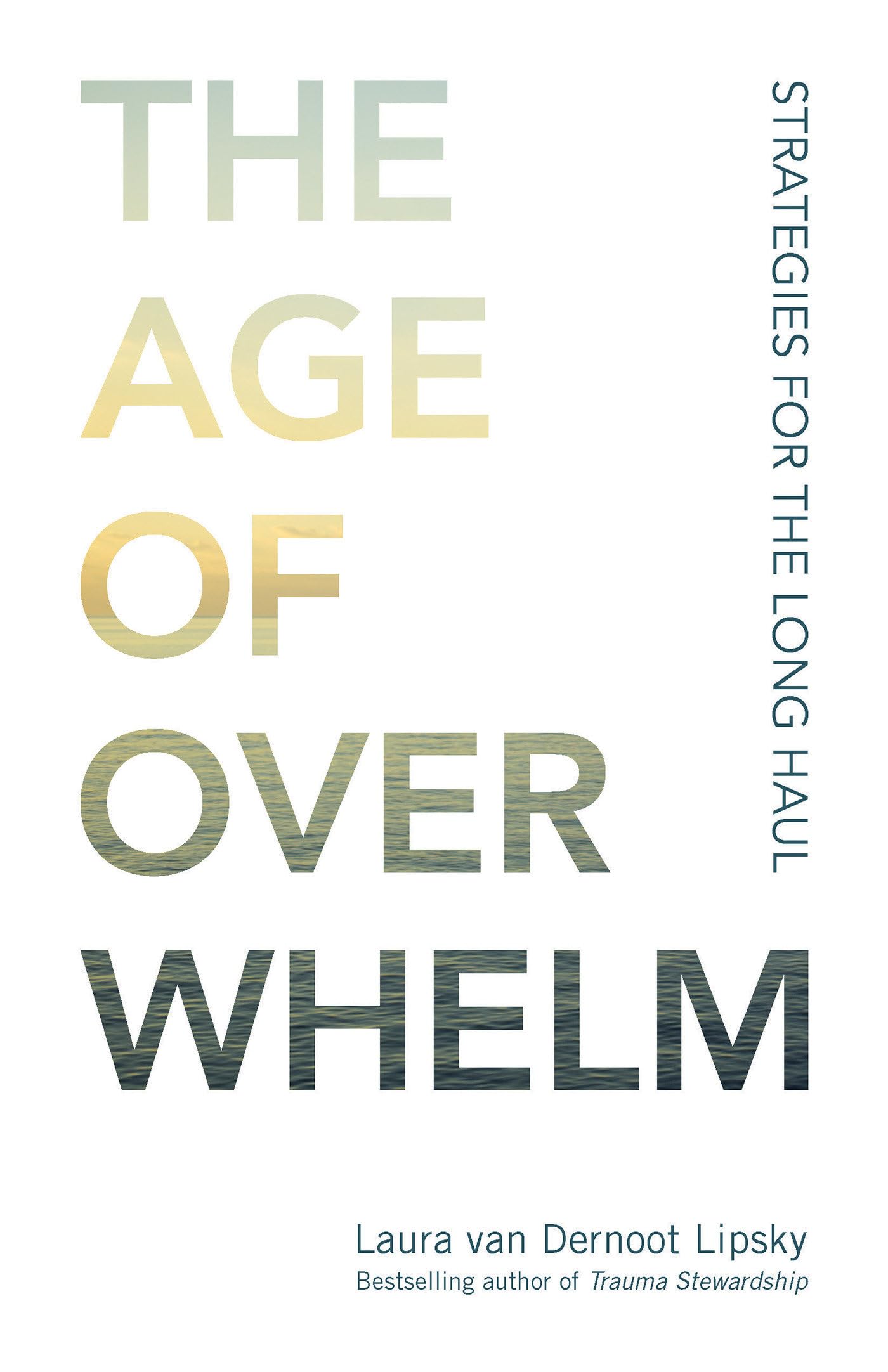 The Age of Overwhelm: Strategies for the Long Haul - 8531