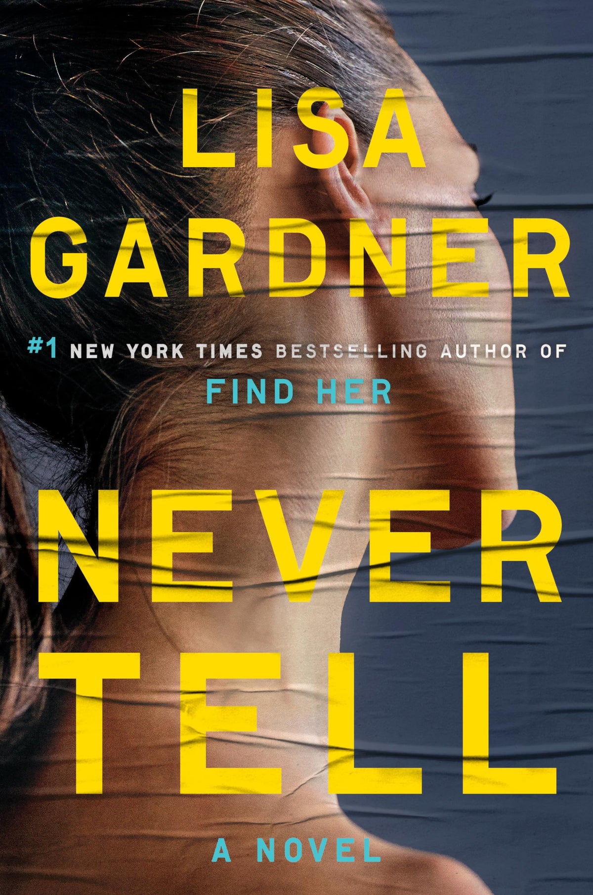 Never Tell: A Novel (Detective D. D. Warren)