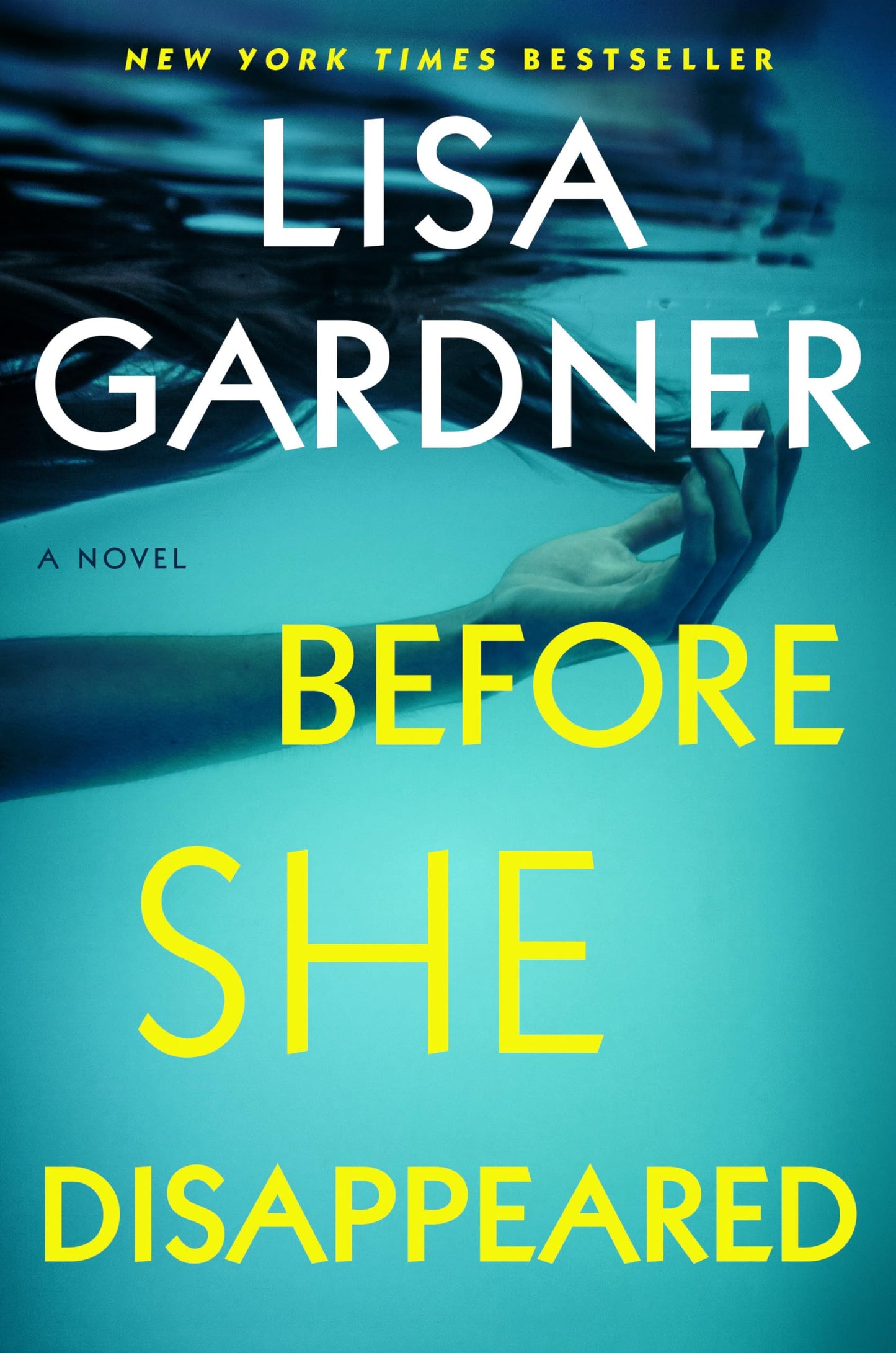 Before She Disappeared: A Novel (A Frankie Elkin Novel)