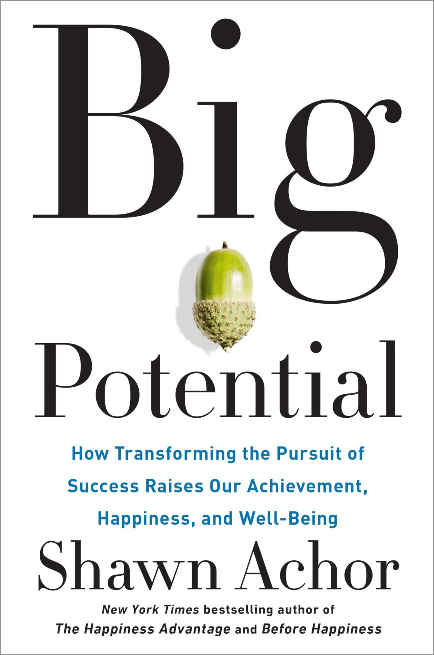 Big Potential: How Transforming the Pursuit of Success Raises Our Achievement, Happiness, and Well-Being - 6405
