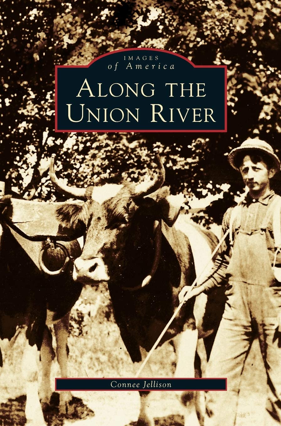 Along the Union River