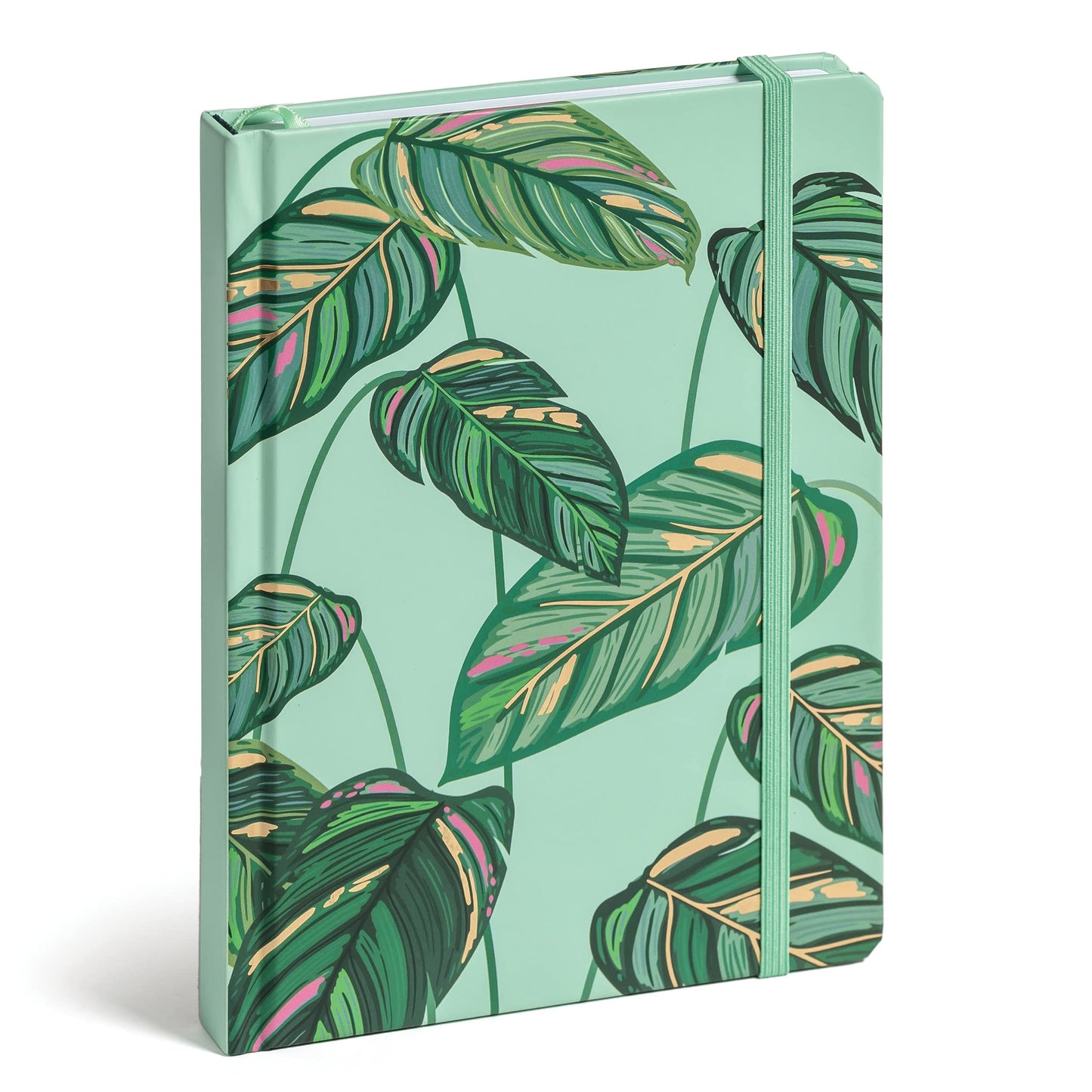 High Note Greenery Non-Dated Journal Notebook, 6" x 8.5" Lined Botanical Softcover Notebook with Gold Foil Accents, 183 Pages, Elastic Band and Ribbon Bookmark
