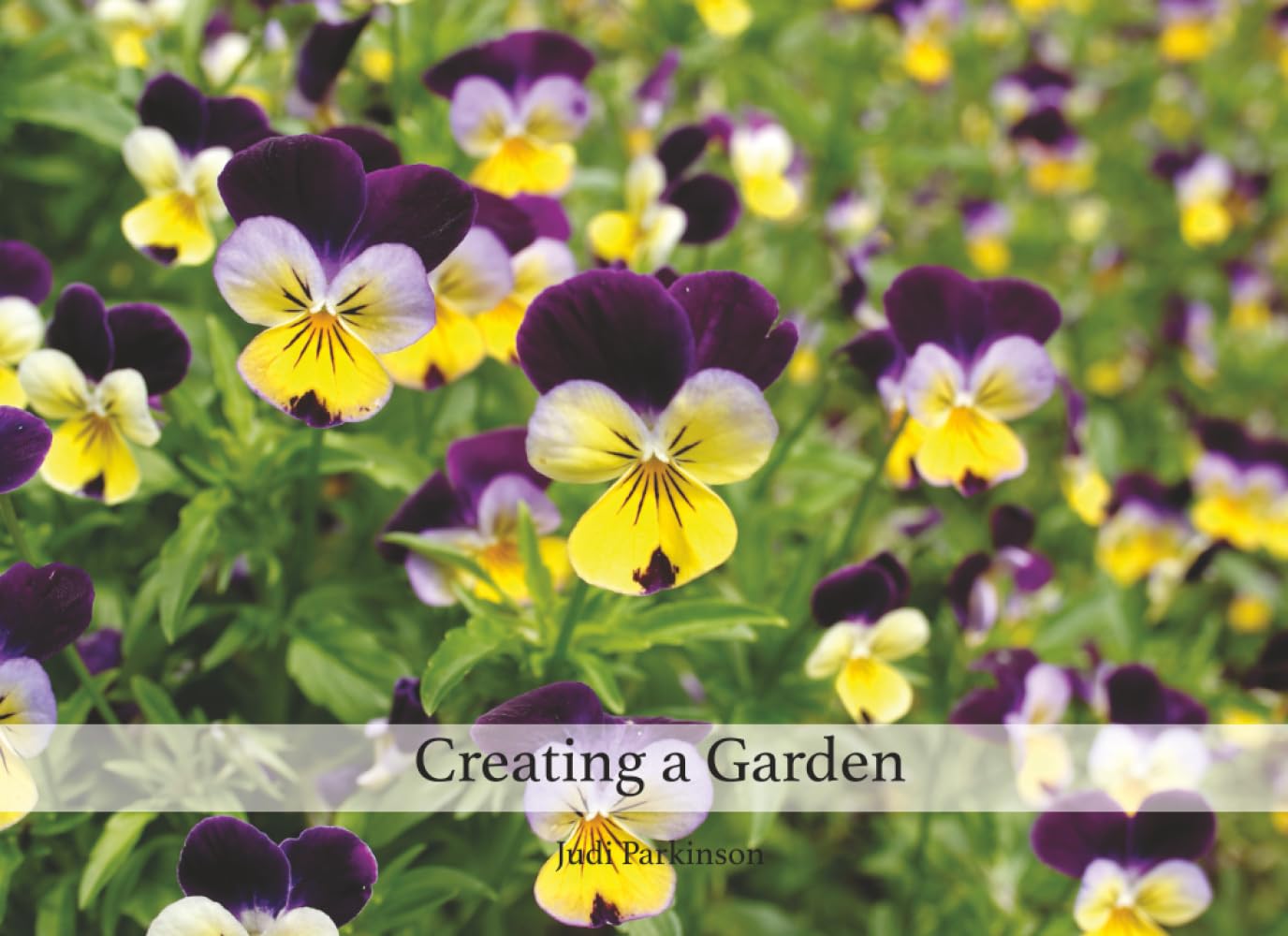 Creating a Garden: A Share-Time Picture Book for Reminiscing and Storytelling (Picture Books for people with Alzheimer's or Dementia)