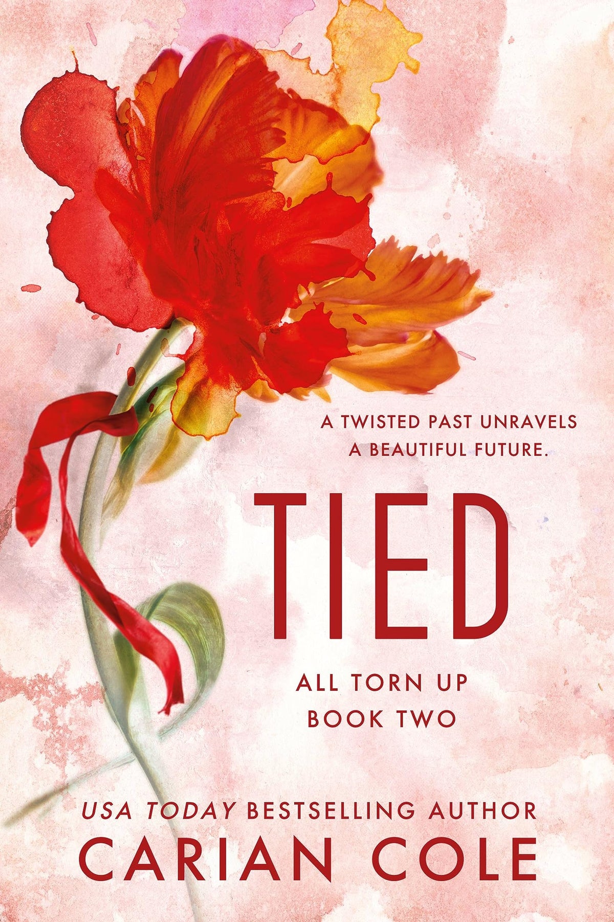 Tied (All Torn Up, 2)