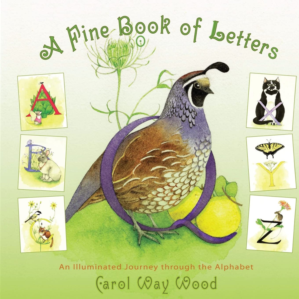 A Fine Book of Letters: An Illuminated Journey through the Alphabet