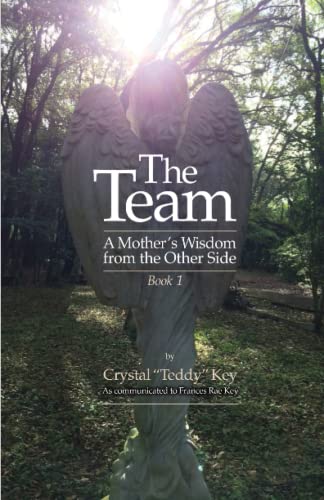 The Team: A Mother's Wisdom from the Other Side - Book 1 (The Team Books)