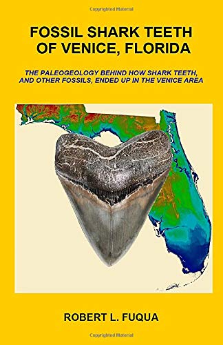 Fossil Shark Teeth Of Venice, Florida: The paleogeology behind how shark teeth, and other fossils, ended up in the Venice area