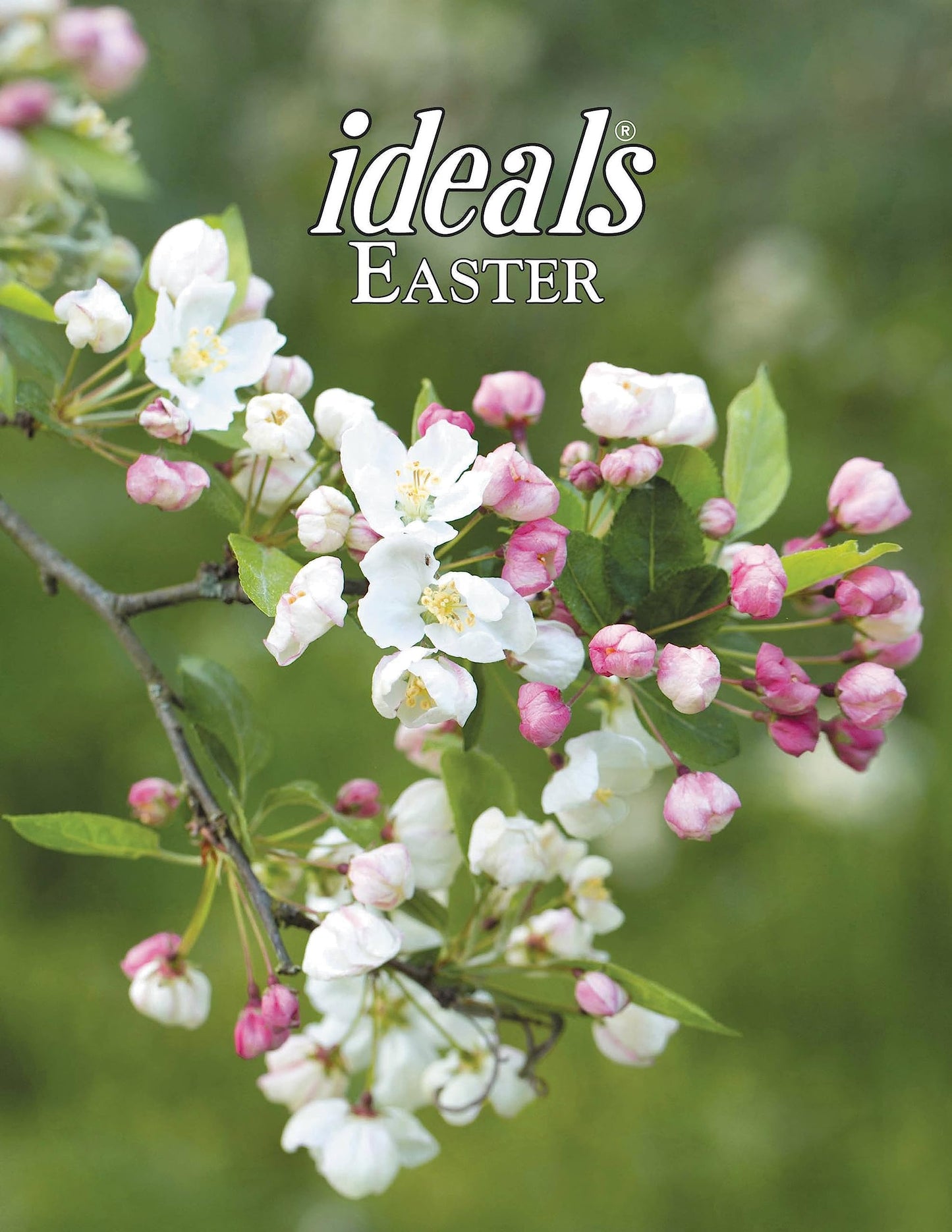 Easter Ideals 2024 - 1843