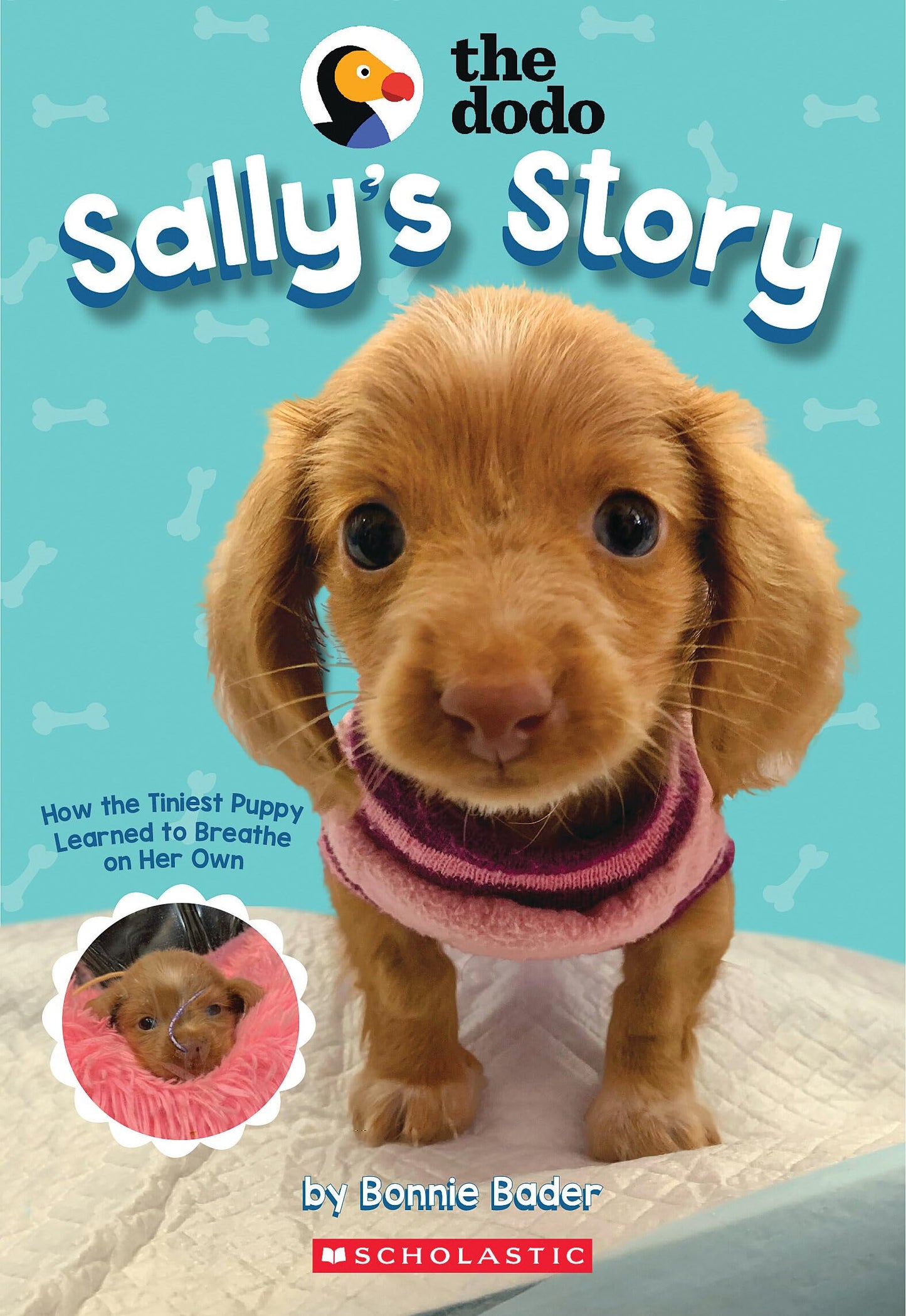 Sally's Story (The Dodo) - 3161