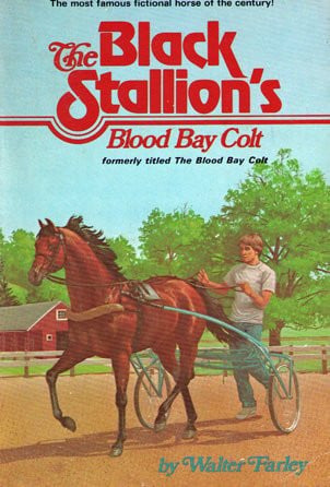 The Black Stallion's Blood Bay Colt