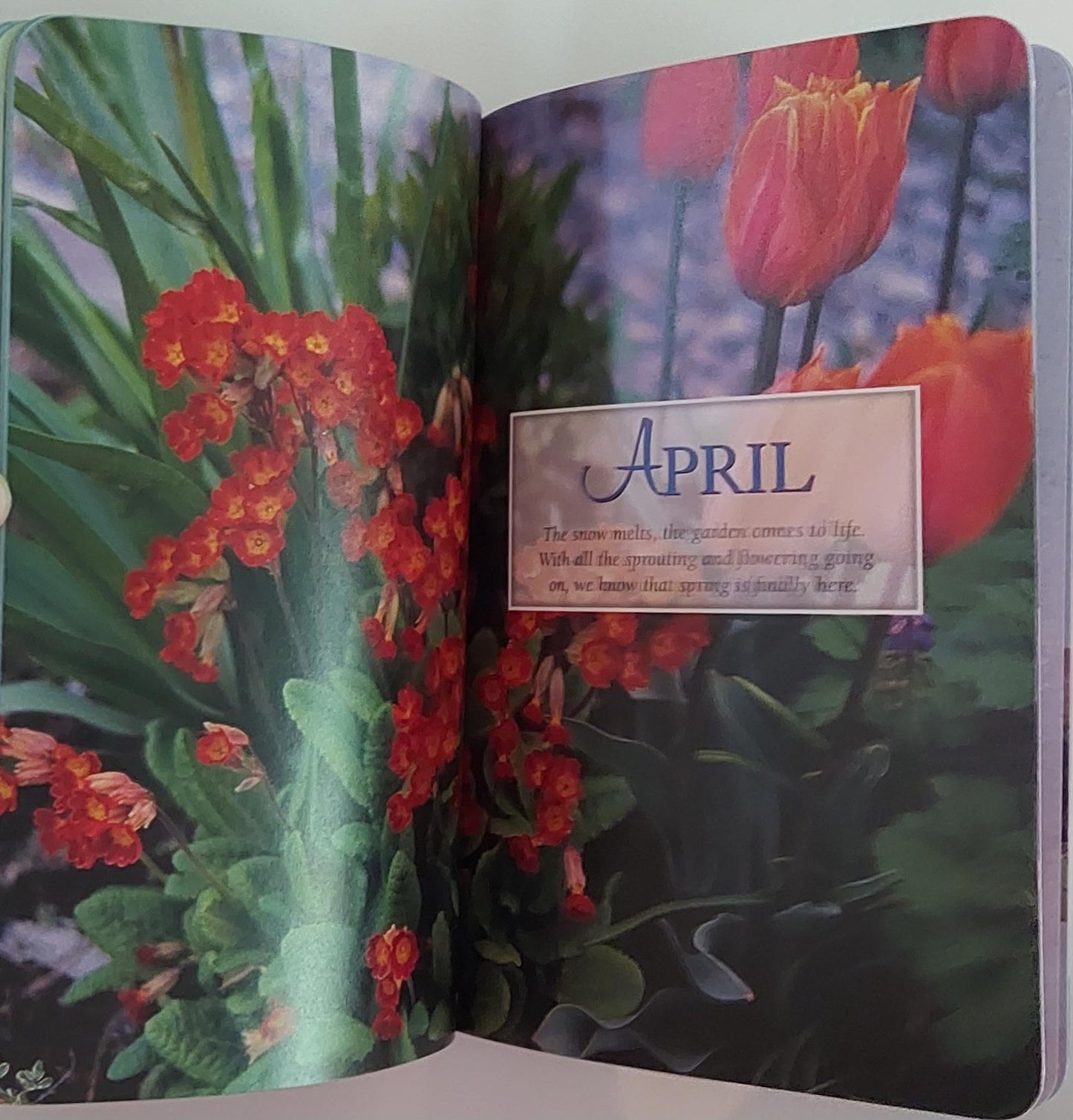 Gardening Month by Month in Michigan
