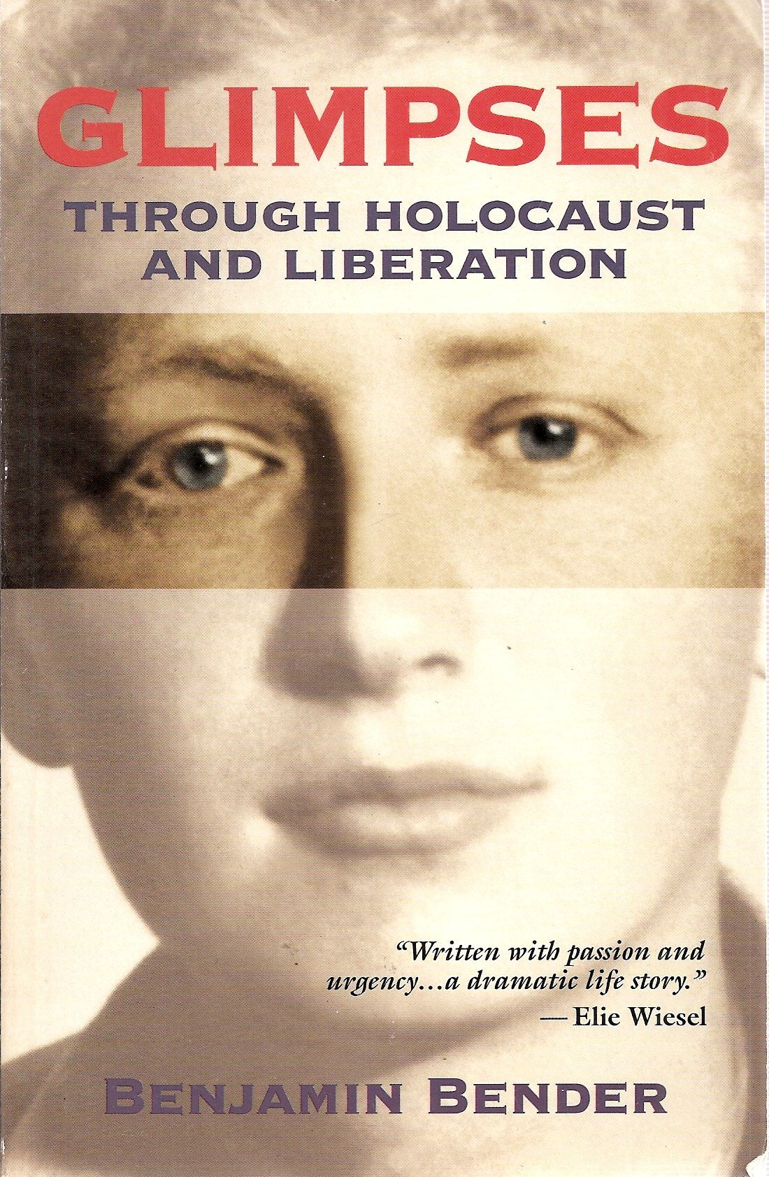 Glimpses: Through Holocaust and Liberation