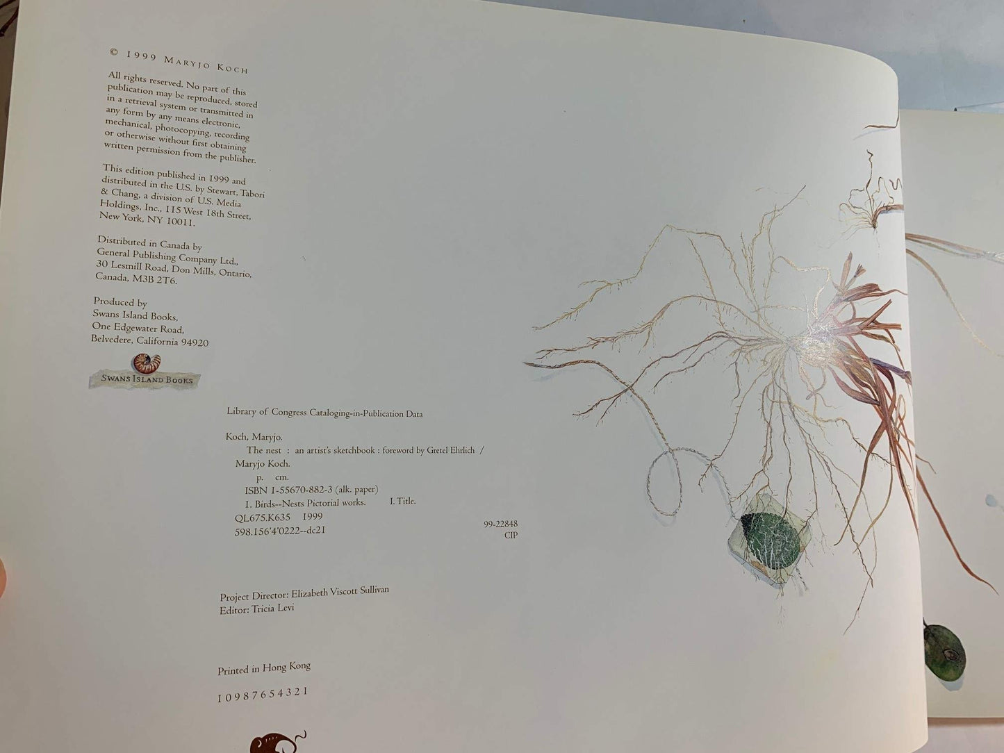 The Nest: An Artist's Sketchbook - 4453
