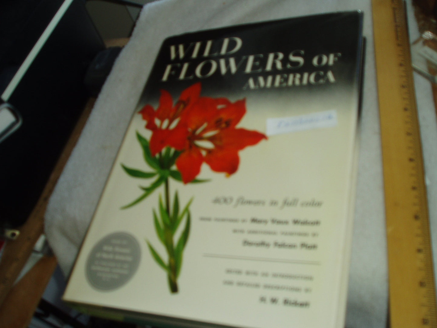 Wild Flowers of America (Tiny Folios (Paperback))