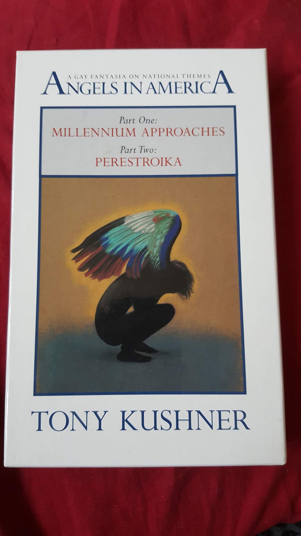 Angels in America, A Gay Fantasia on National Themes: Parts One: Millennium Approaches, Part Two: Perestroika