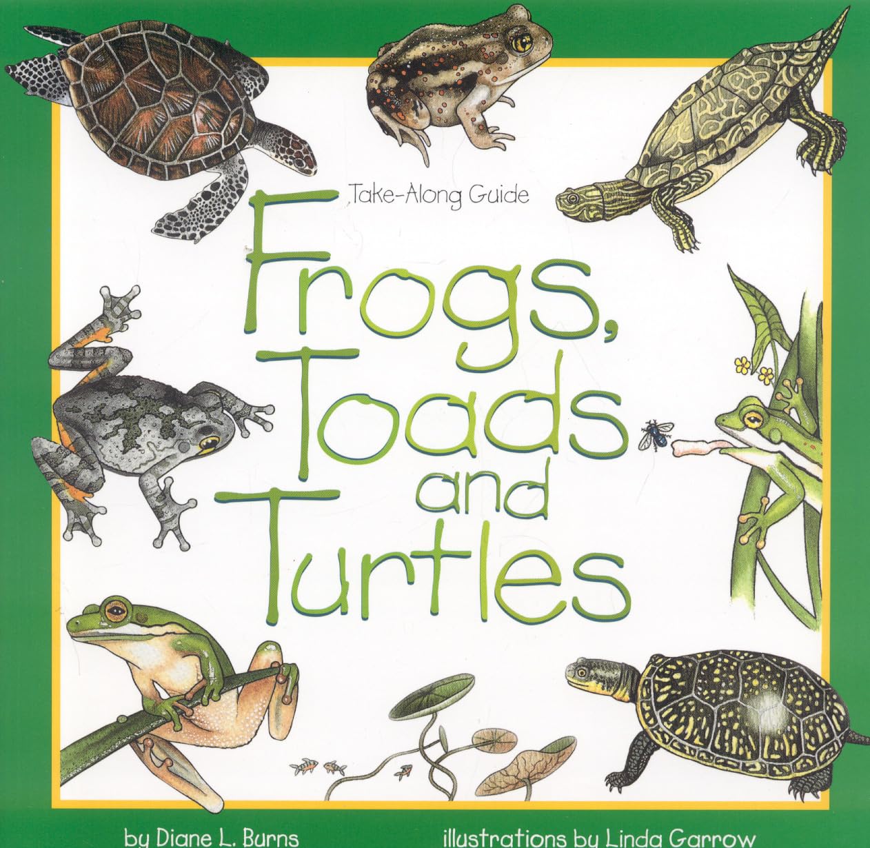 FROGS, TOADS & TURTLES: TAKE ALO