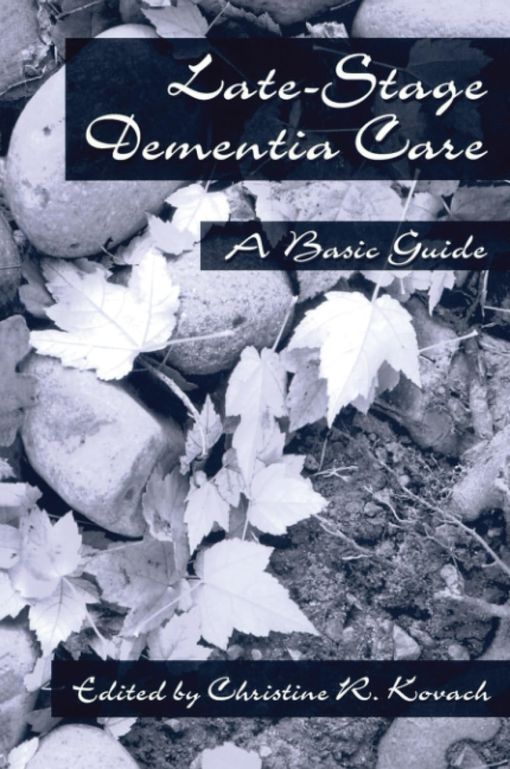 Late-Stage Dementia Care: A Basic Guide